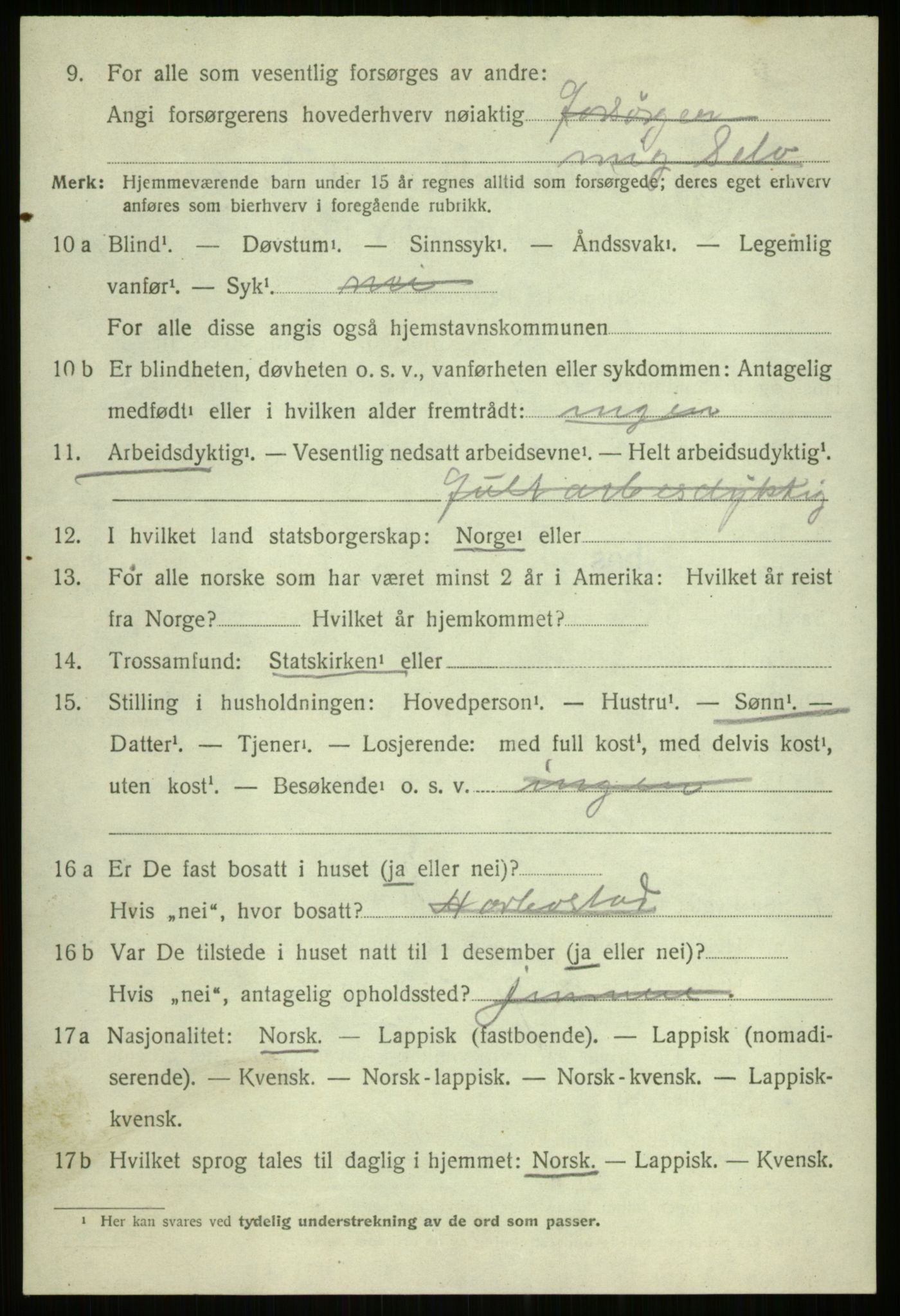 SATØ, Folketelling 1920 for 1917 Ibestad herred, 1920, s. 13241