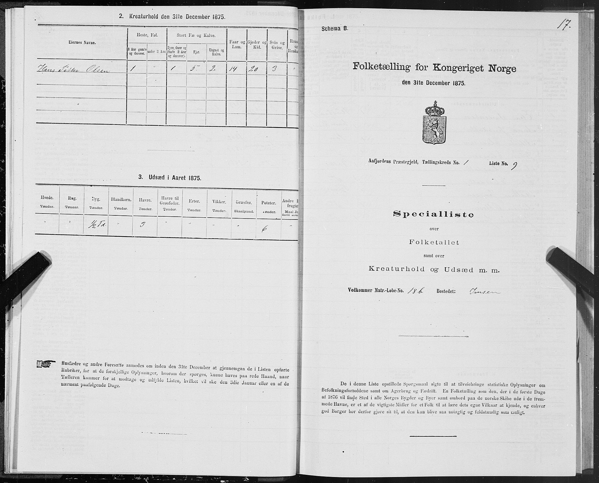 SAT, Folketelling 1875 for 1630P Aafjorden prestegjeld, 1875, s. 1017