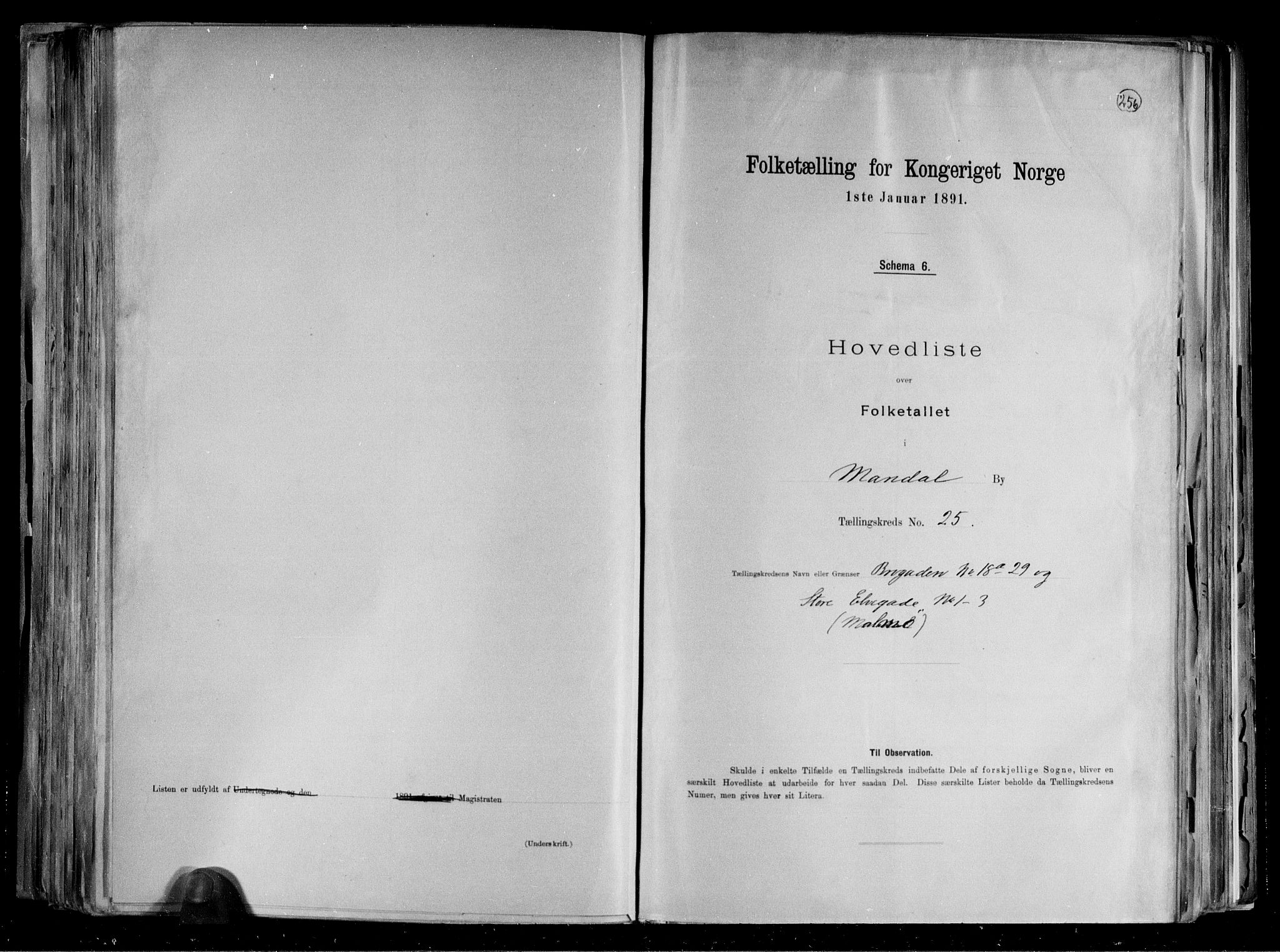 RA, Folketelling 1891 for 1002 Mandal ladested, 1891, s. 54