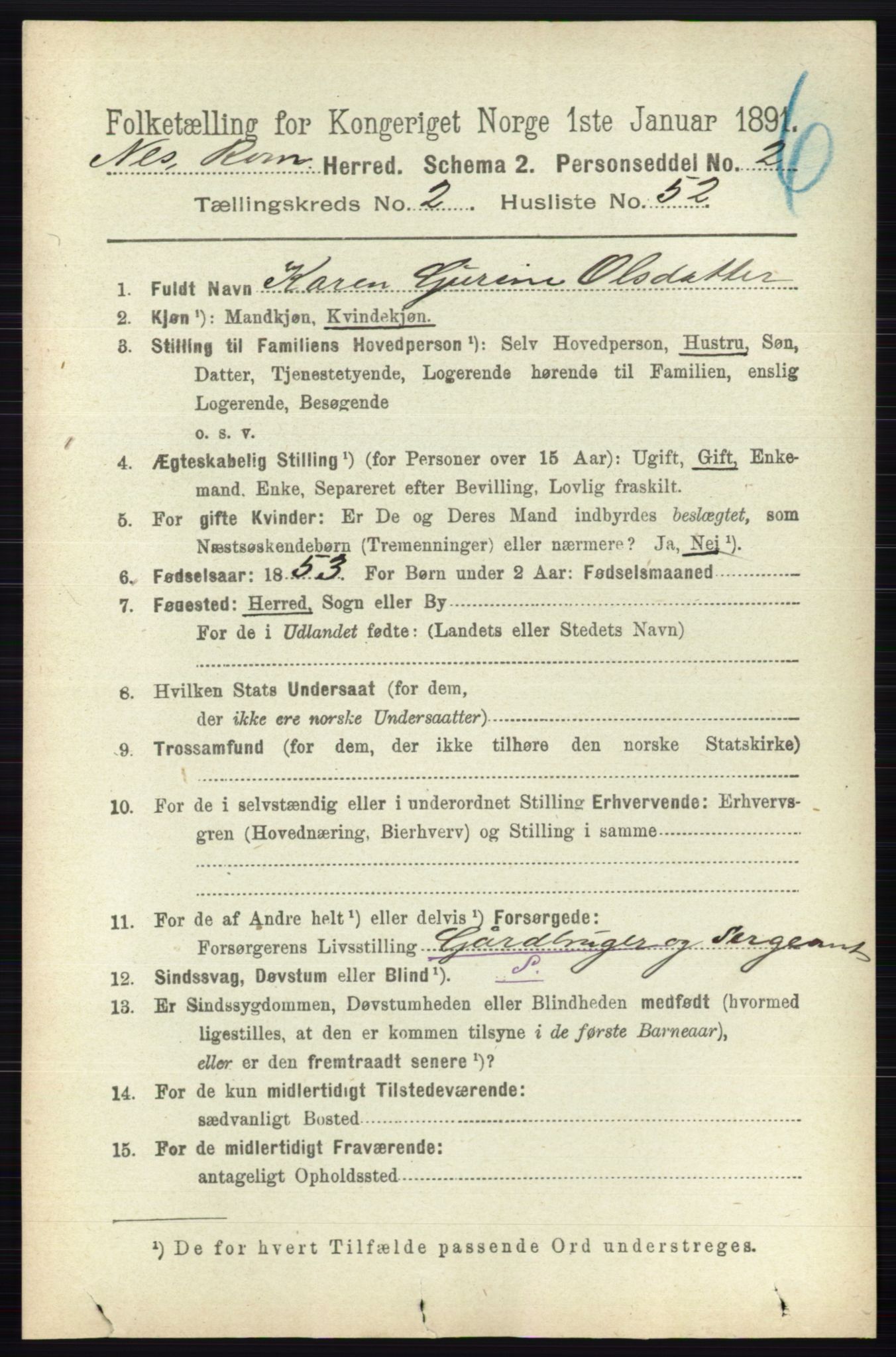 RA, Folketelling 1891 for 0236 Nes herred, 1891, s. 1202