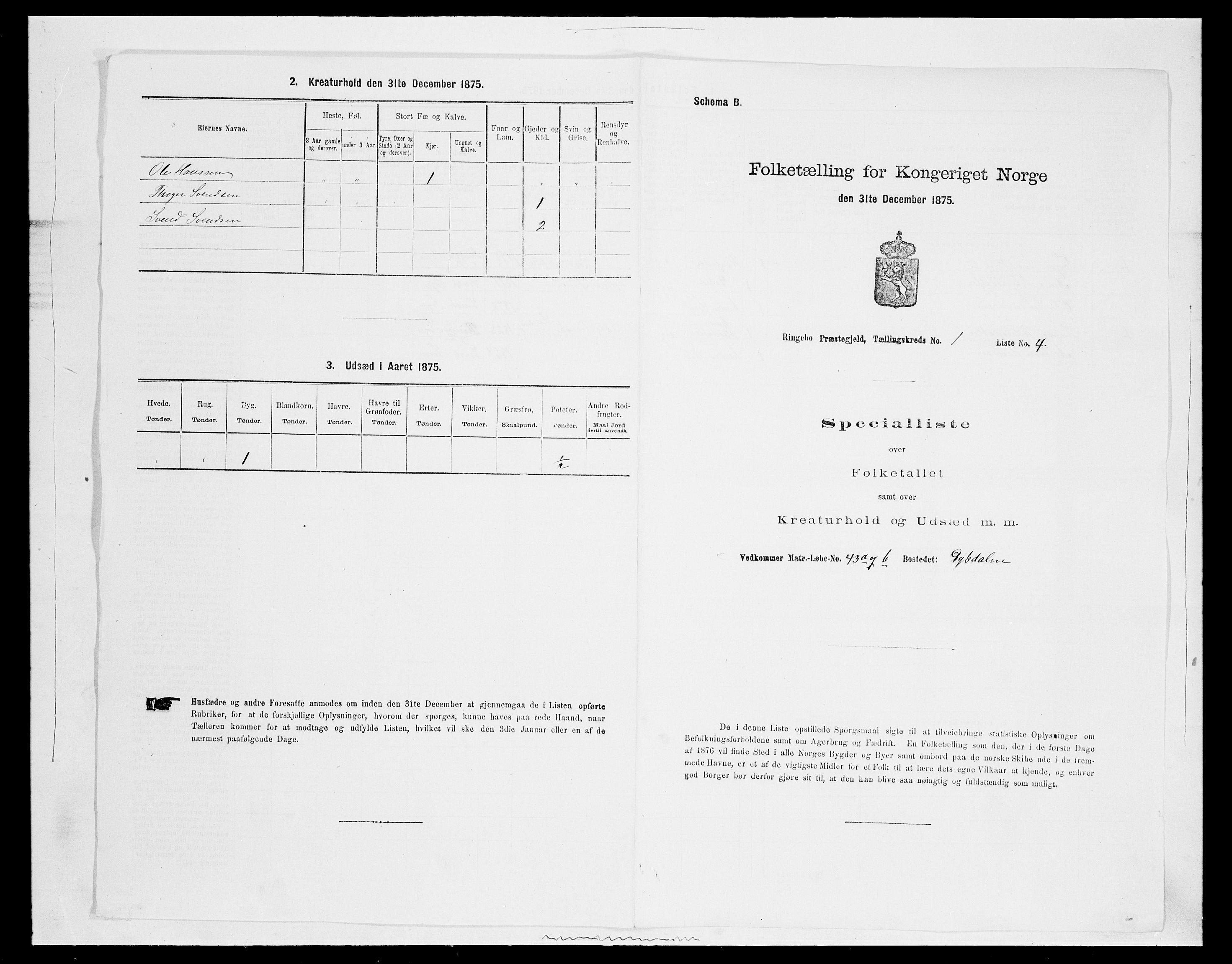 SAH, Folketelling 1875 for 0520P Ringebu prestegjeld, 1875, s. 91