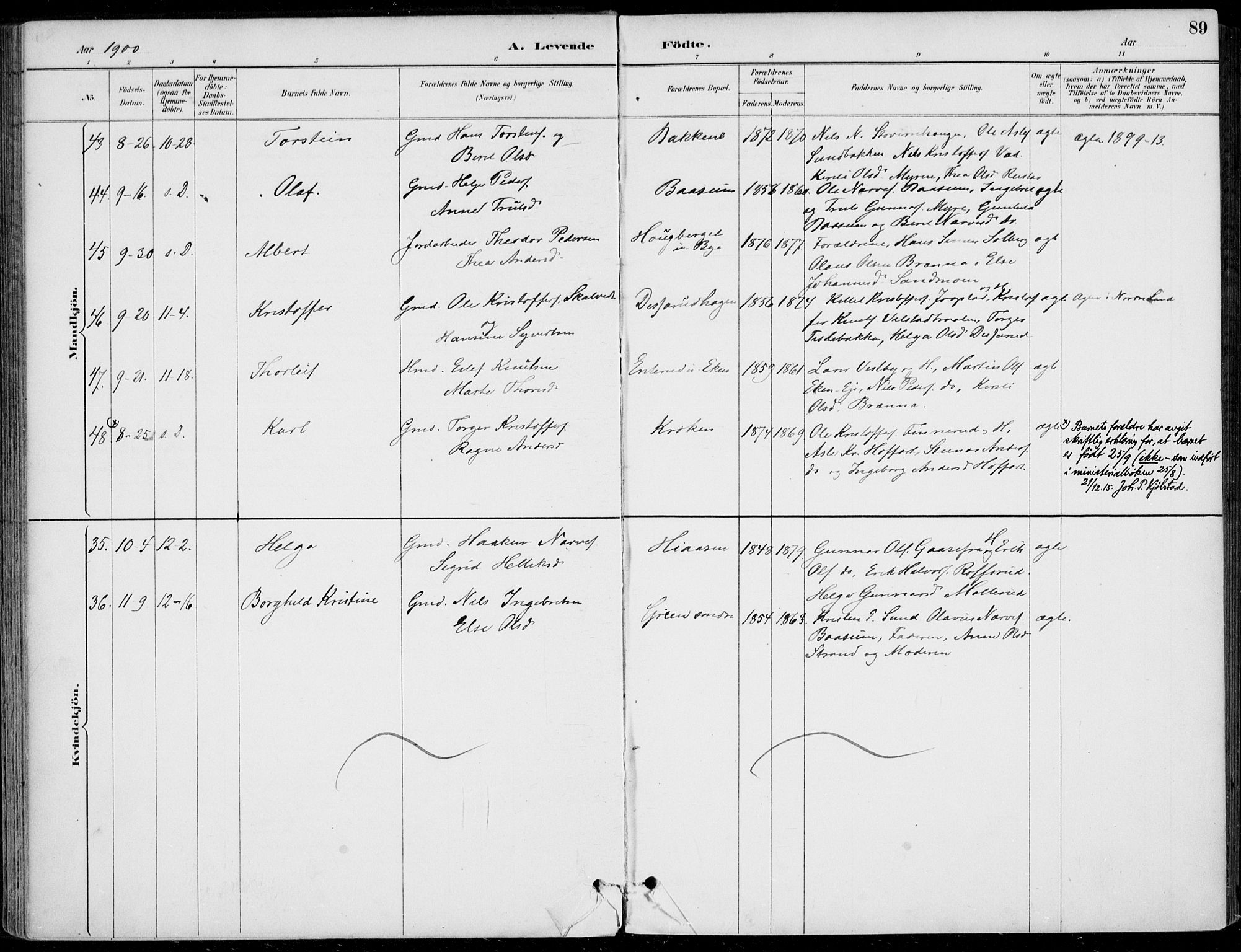 Sigdal kirkebøker, AV/SAKO-A-245/F/Fb/L0001: Ministerialbok nr. II 1, 1888-1900, s. 89