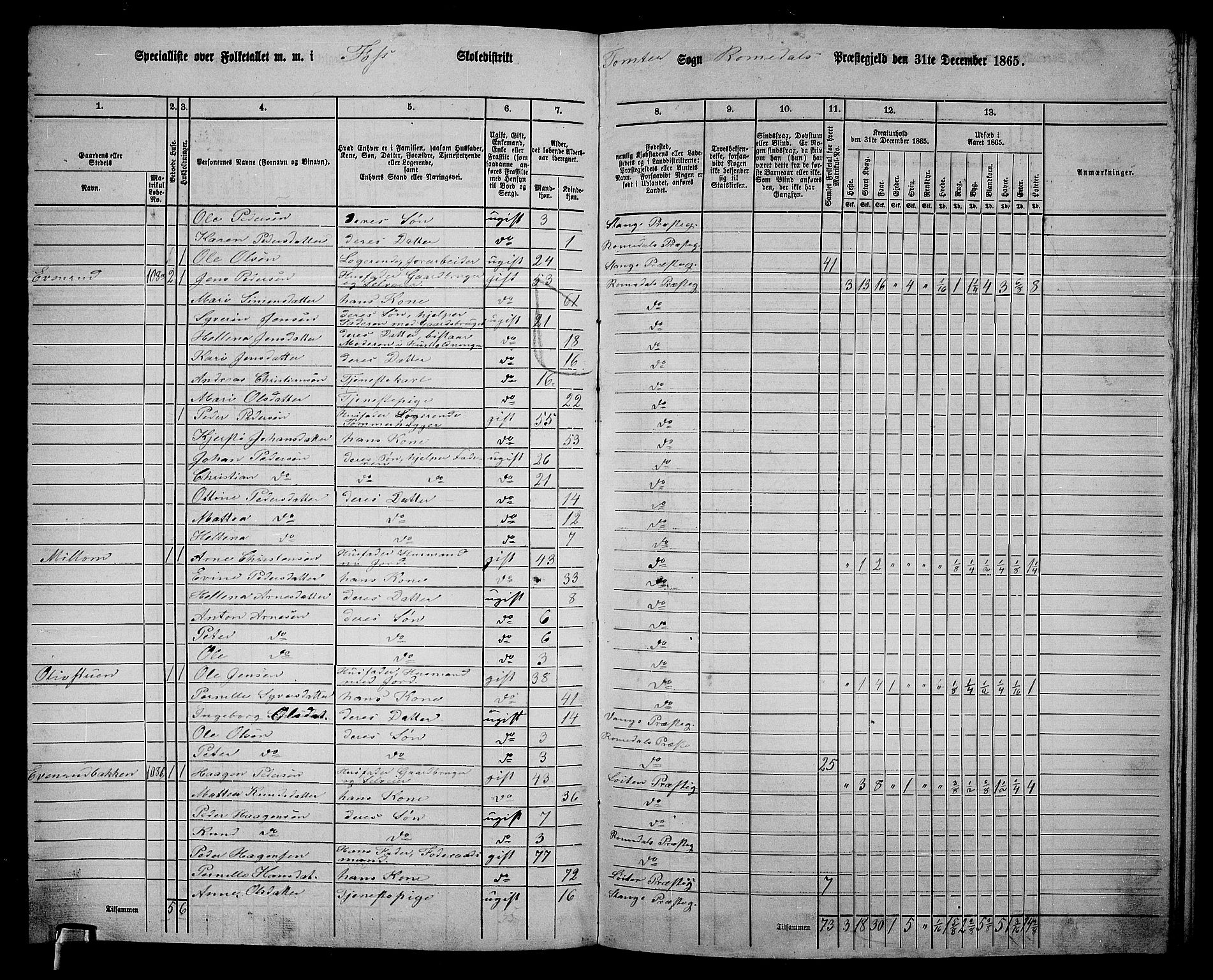 RA, Folketelling 1865 for 0416P Romedal prestegjeld, 1865, s. 168