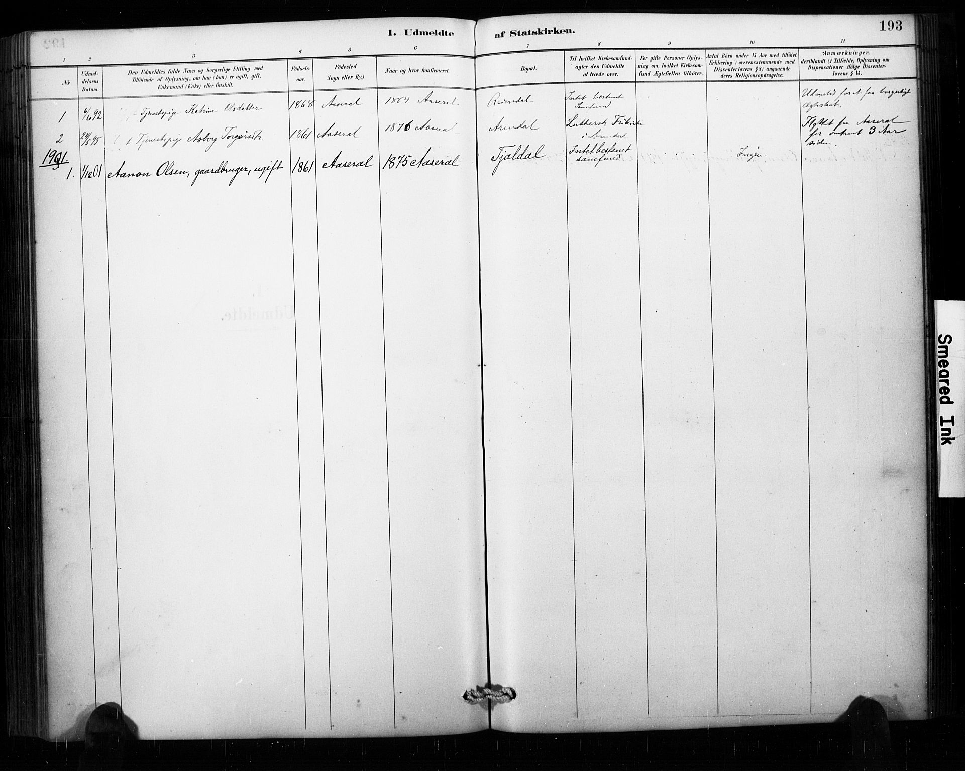 Åseral sokneprestkontor, SAK/1111-0051/F/Fa/L0003: Ministerialbok nr. A 3, 1884-1901, s. 193
