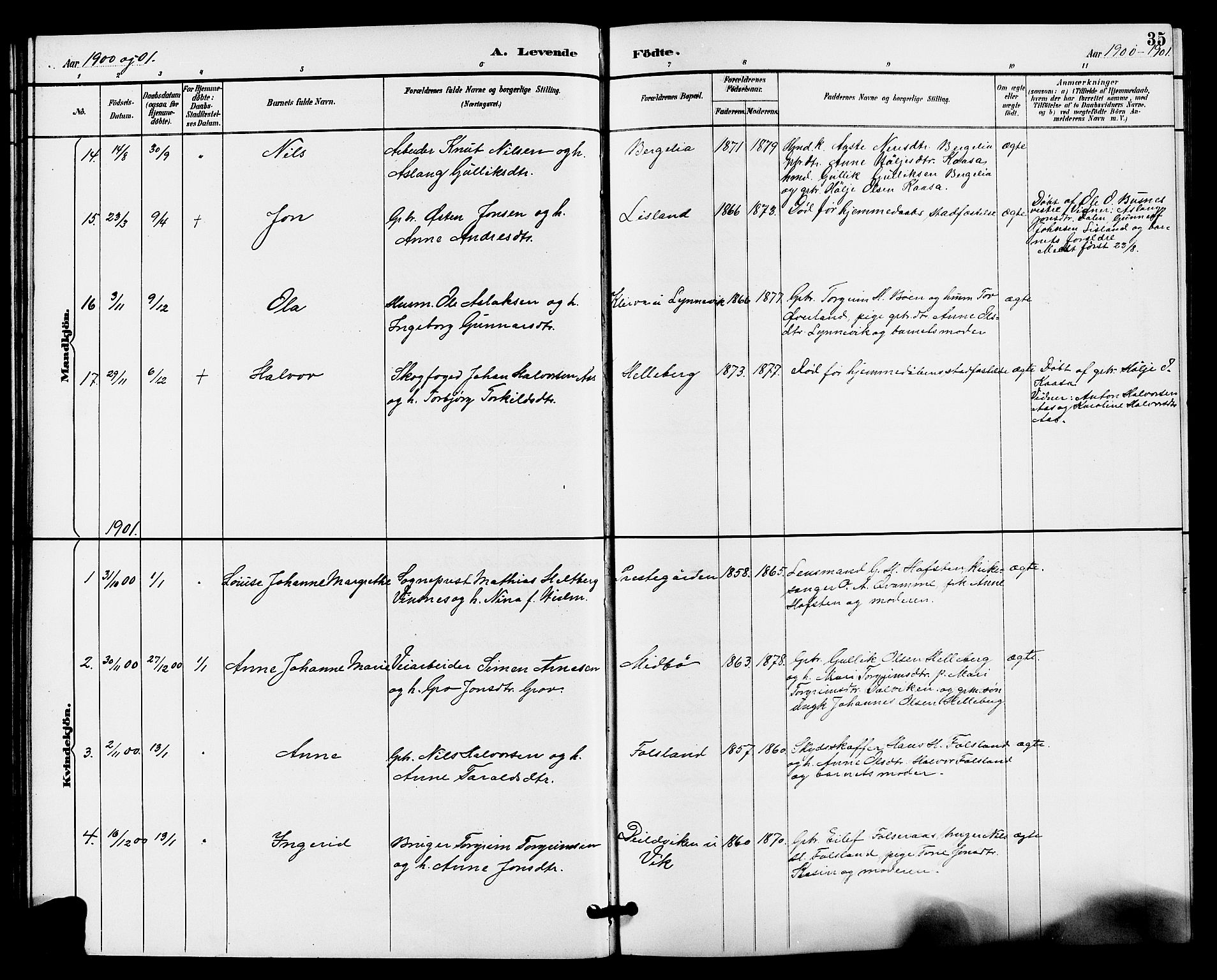 Gransherad kirkebøker, AV/SAKO-A-267/G/Ga/L0003: Klokkerbok nr. I 3, 1887-1915, s. 35