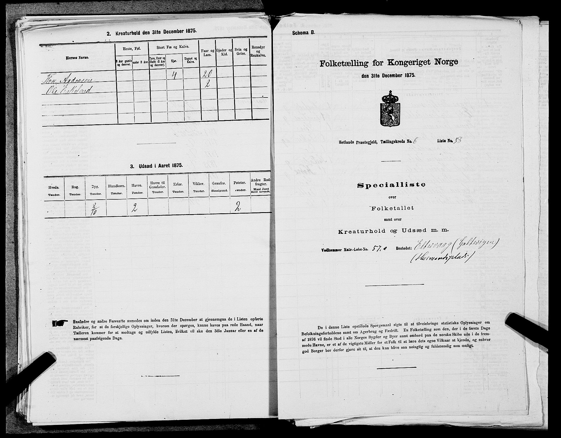 SAST, Folketelling 1875 for 1126P Hetland prestegjeld, 1875, s. 1427