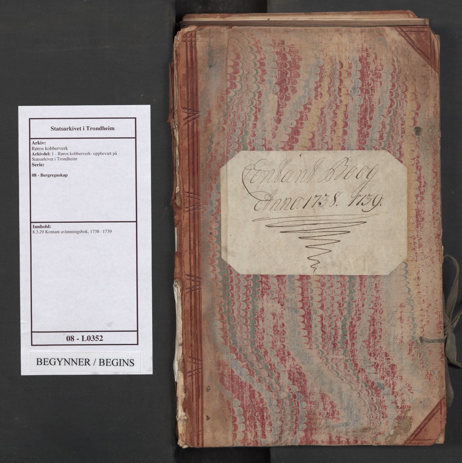 Røros kobberverk, SAT/PA-0211/1/08/L0352: 8.3.29 Kontant avlønningsbok, 1738-1739