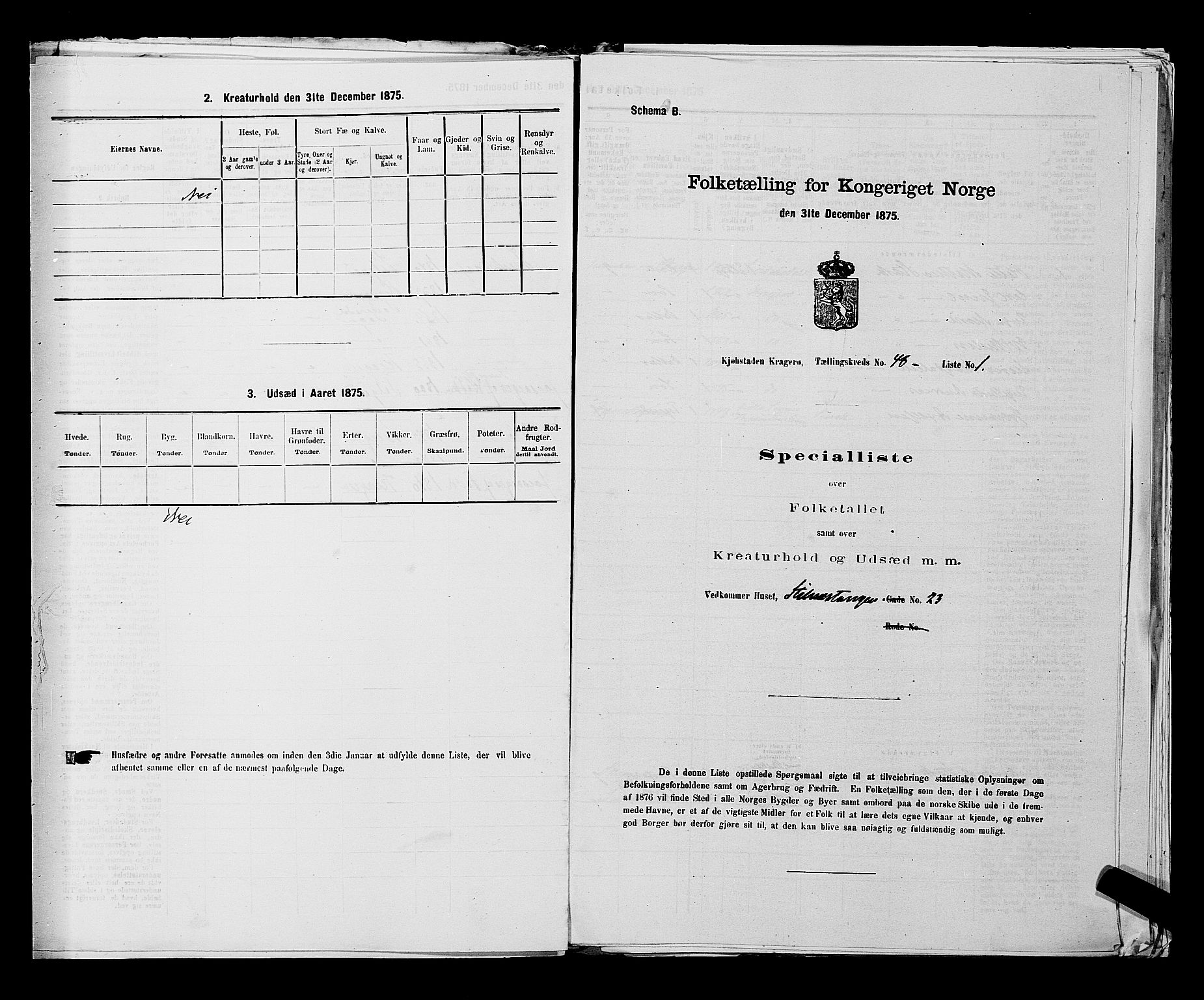 SAKO, Folketelling 1875 for 0801P Kragerø prestegjeld, 1875, s. 1058