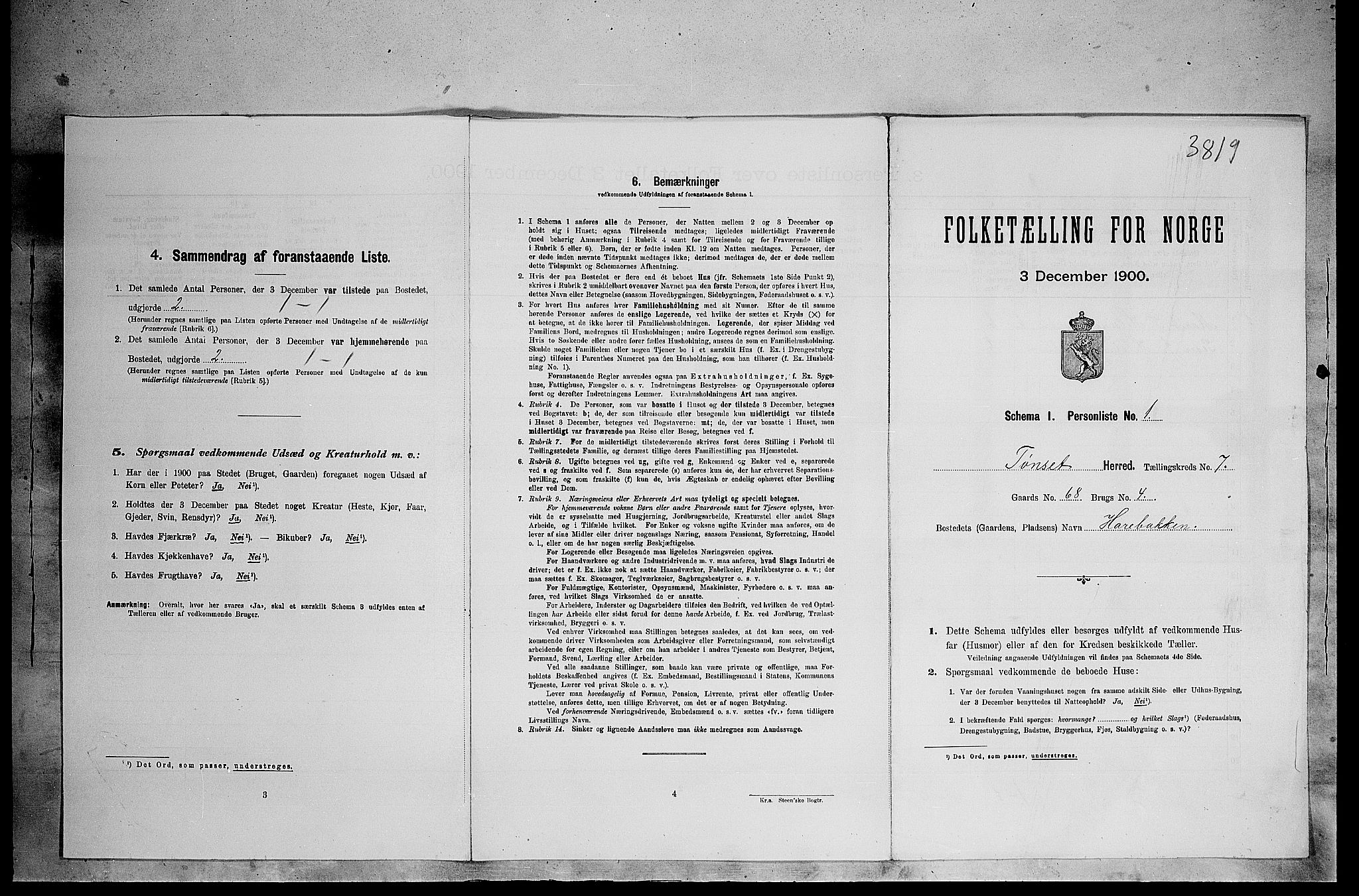 SAH, Folketelling 1900 for 0437 Tynset herred, 1900, s. 619