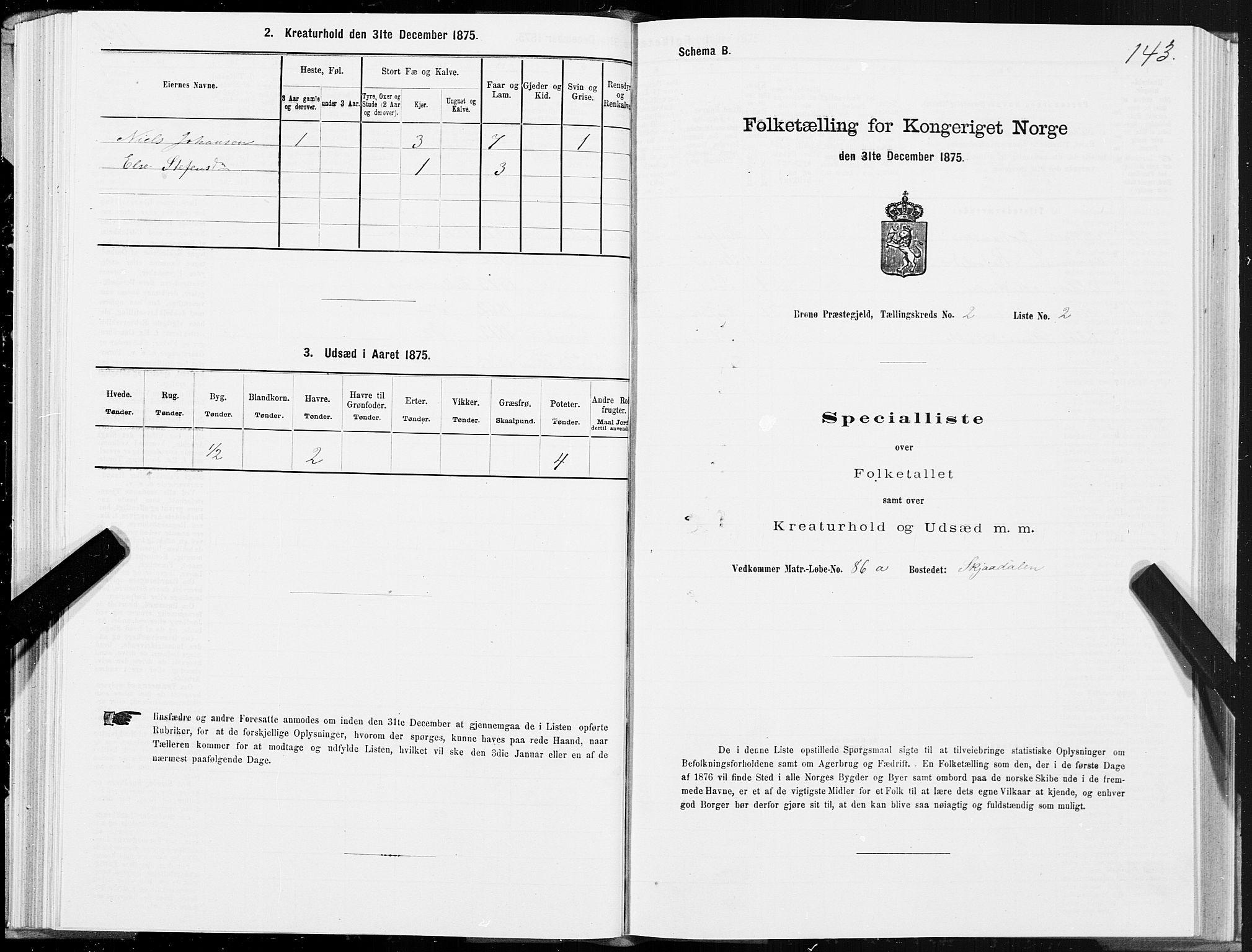 SAT, Folketelling 1875 for 1814P Brønnøy prestegjeld, 1875, s. 1143