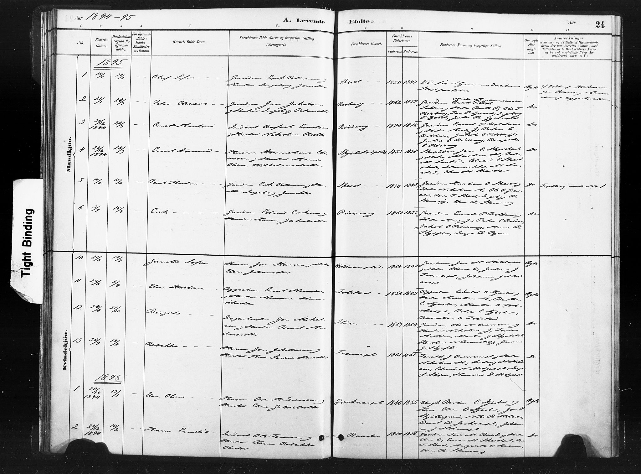 Ministerialprotokoller, klokkerbøker og fødselsregistre - Nord-Trøndelag, AV/SAT-A-1458/736/L0361: Ministerialbok nr. 736A01, 1884-1906, s. 24