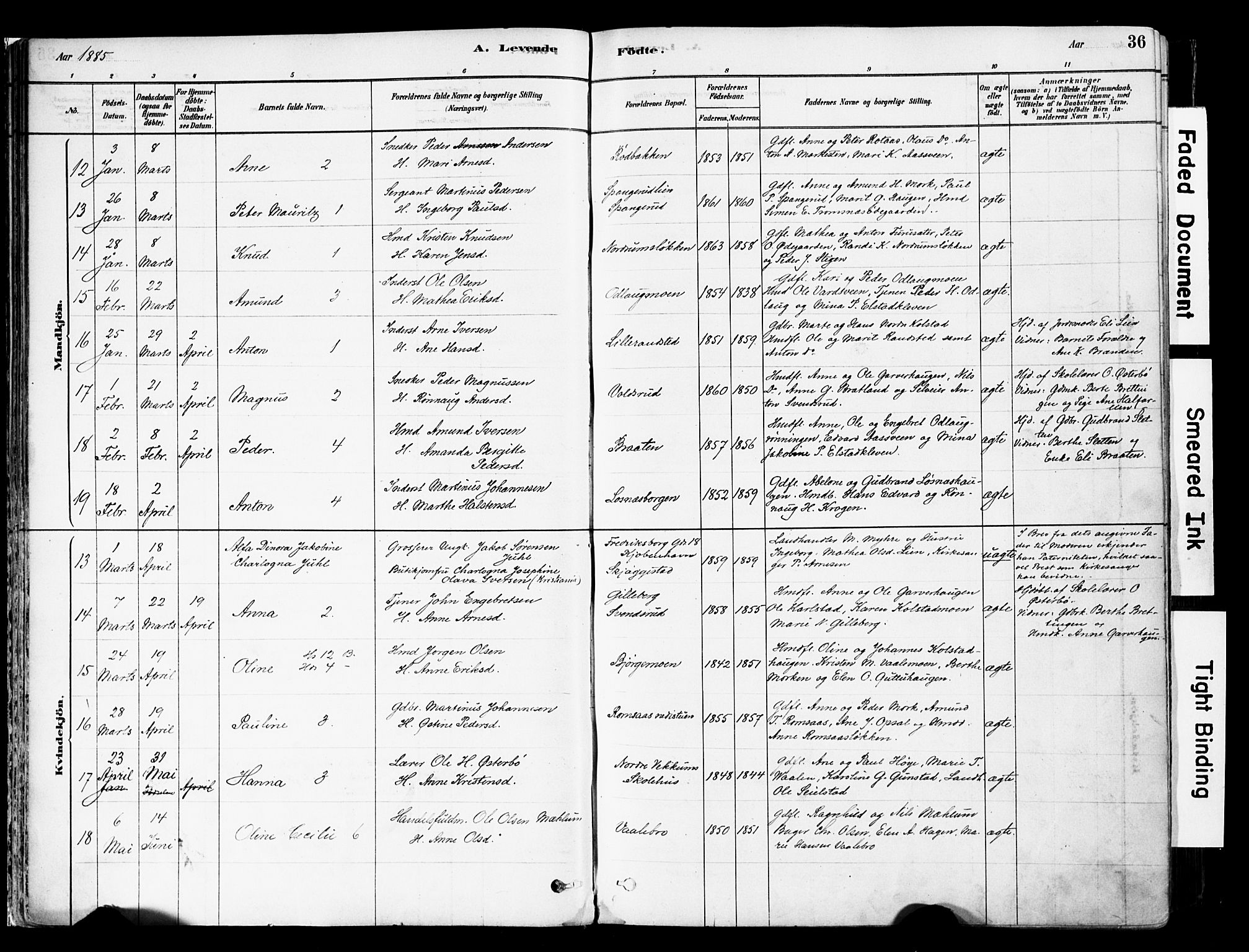 Ringebu prestekontor, AV/SAH-PREST-082/H/Ha/Haa/L0008: Ministerialbok nr. 8, 1878-1898, s. 36