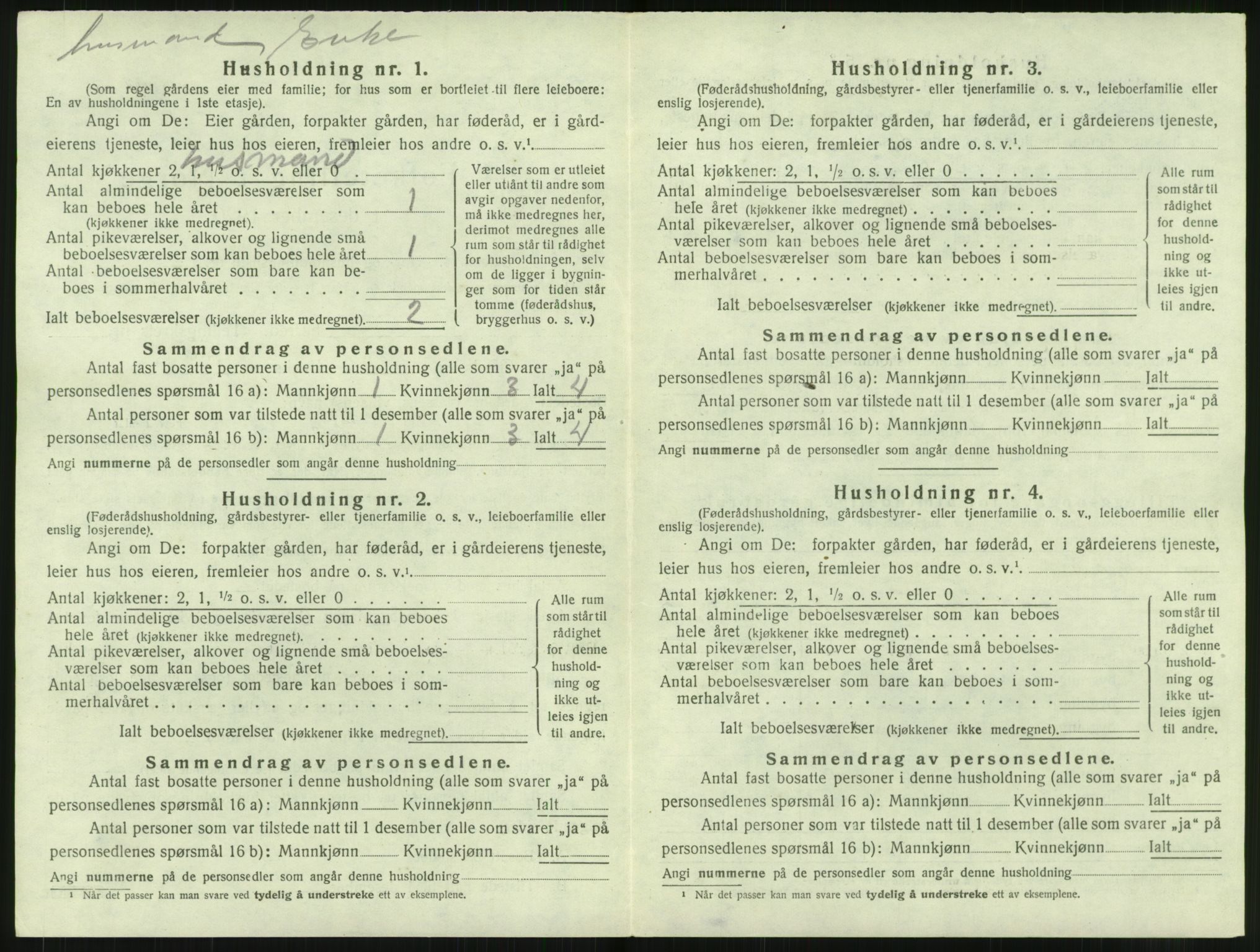 SAT, Folketelling 1920 for 1862 Borge herred, 1920, s. 1038