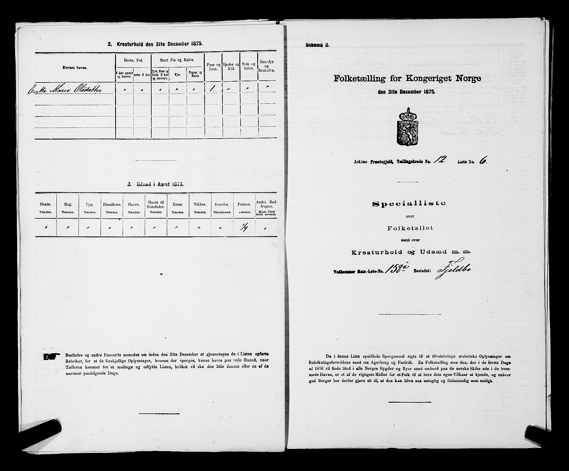 RA, Folketelling 1875 for 0124P Askim prestegjeld, 1875, s. 819