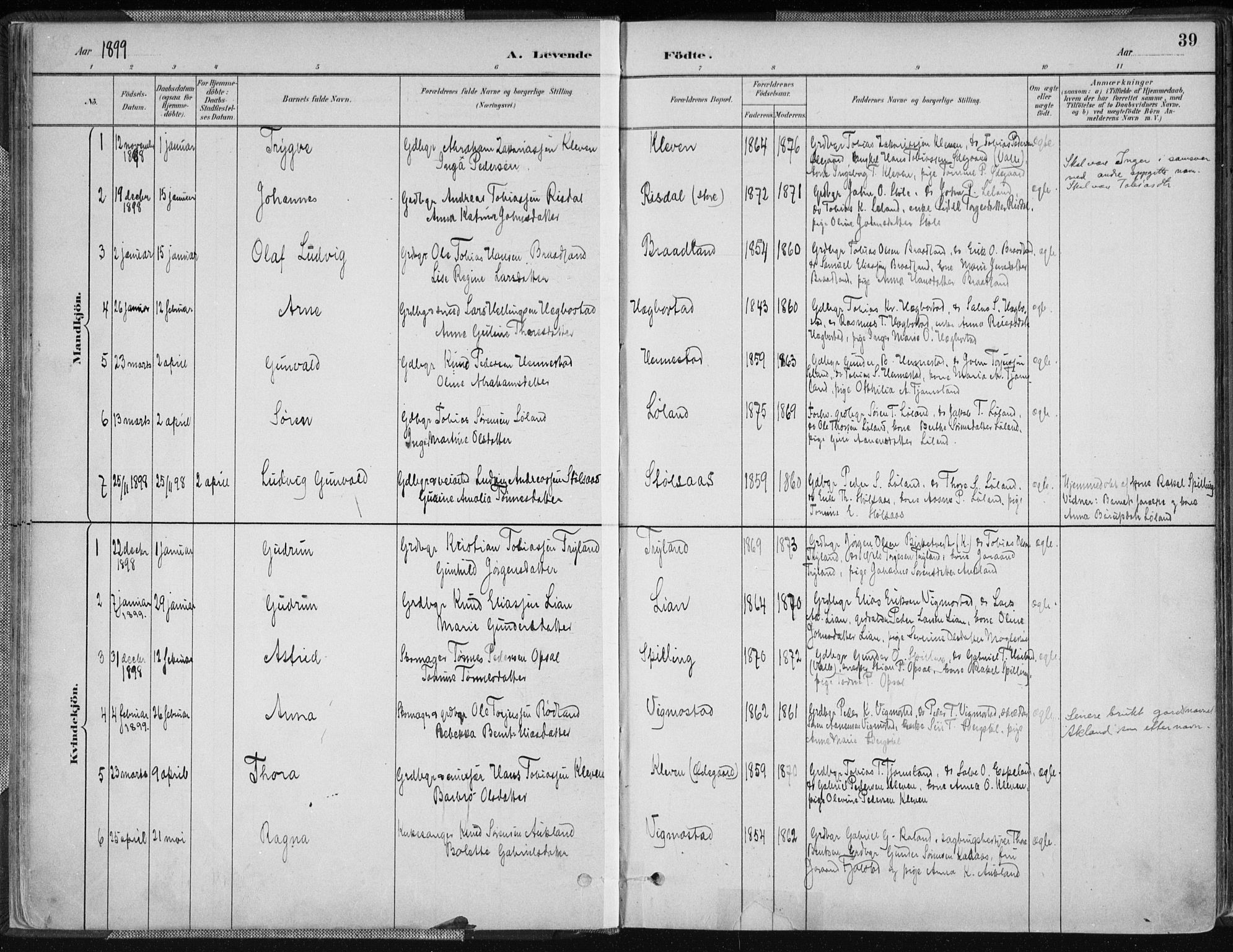 Nord-Audnedal sokneprestkontor, SAK/1111-0032/F/Fa/Fab/L0003: Ministerialbok nr. A 3, 1882-1900, s. 39