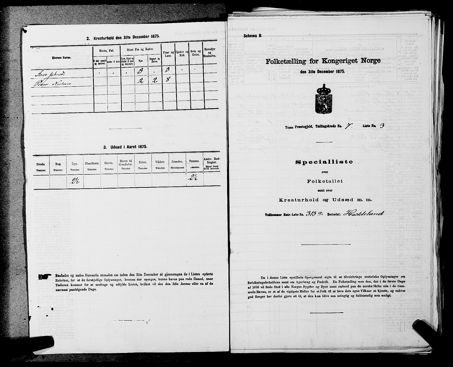 SAKO, Folketelling 1875 for 0826P Tinn prestegjeld, 1875, s. 932