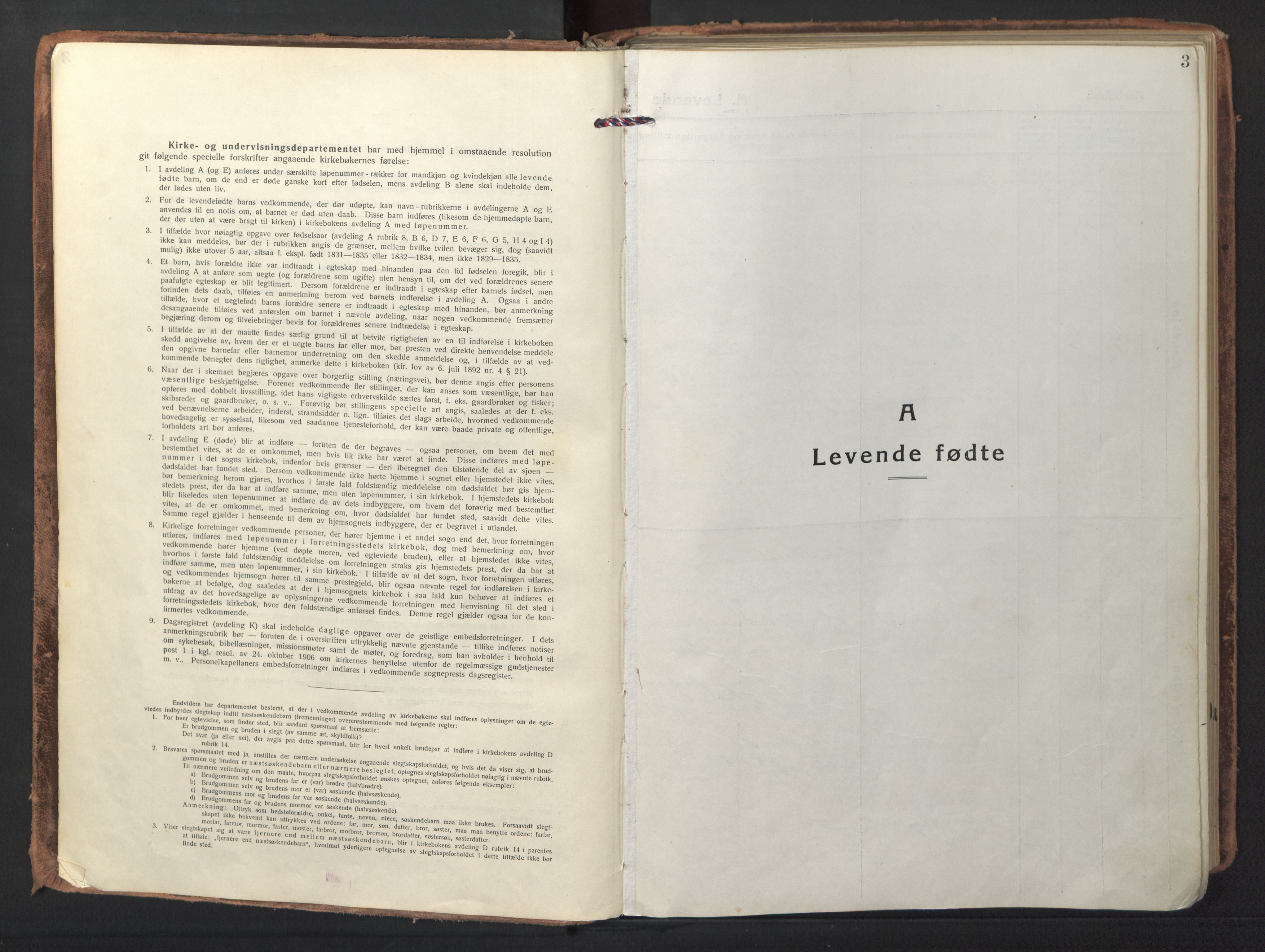 Ministerialprotokoller, klokkerbøker og fødselsregistre - Nordland, AV/SAT-A-1459/892/L1323: Ministerialbok nr. 892A04, 1917-1934, s. 3