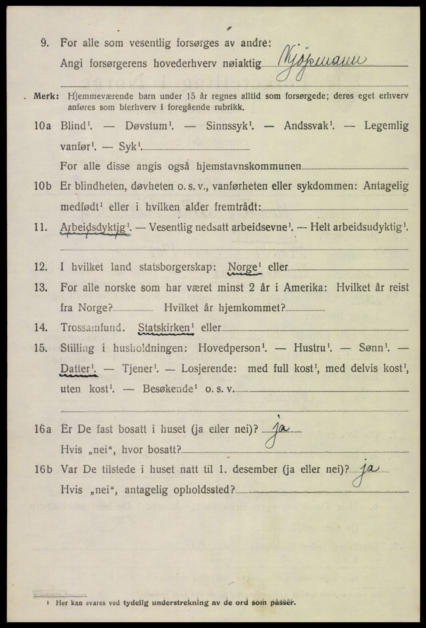 SAK, Folketelling 1920 for 0936 Hornnes herred, 1920, s. 1838
