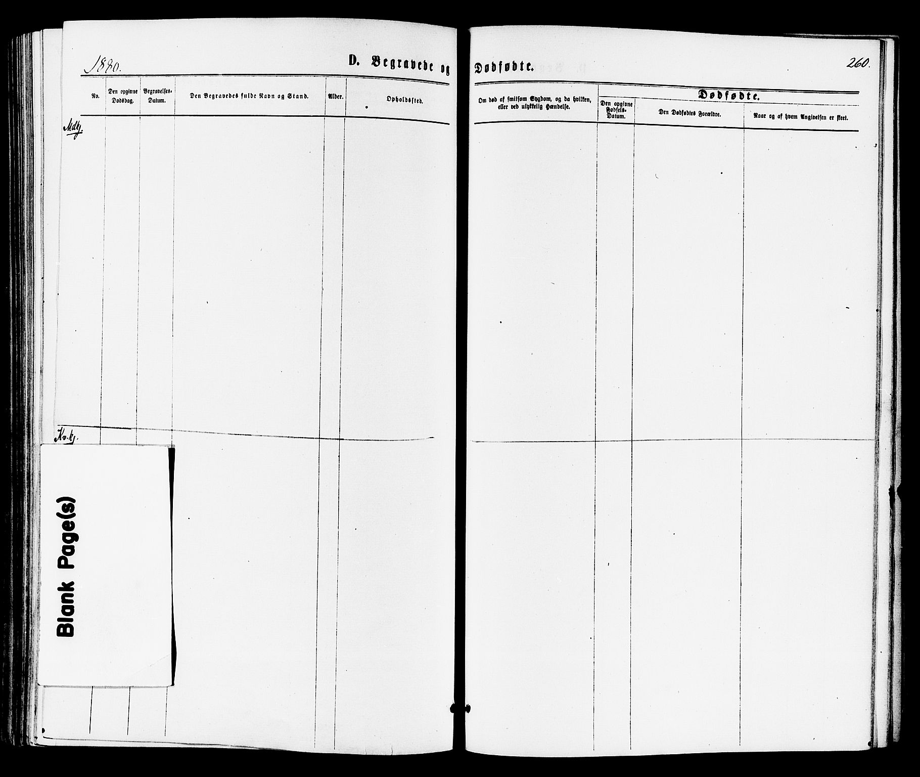 Holmestrand kirkebøker, AV/SAKO-A-346/F/Fa/L0003: Ministerialbok nr. 3, 1867-1879, s. 260