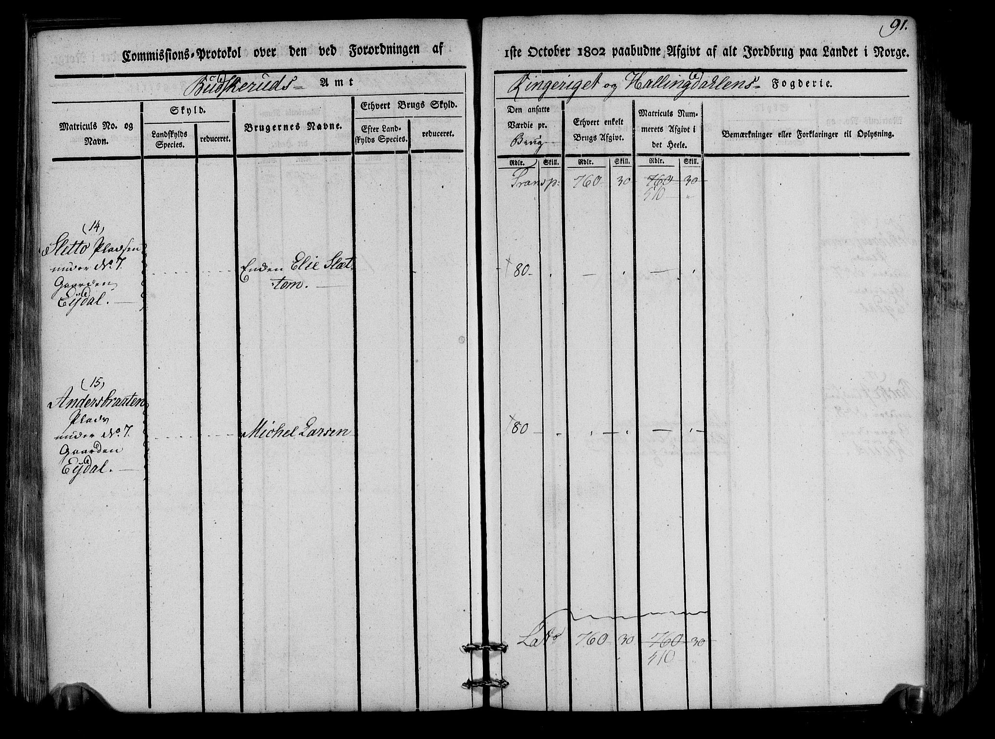 Rentekammeret inntil 1814, Realistisk ordnet avdeling, AV/RA-EA-4070/N/Ne/Nea/L0047: Ringerike og Hallingdal fogderi. Kommisjonsprotokoll for Nes prestegjeld, 1803, s. 94