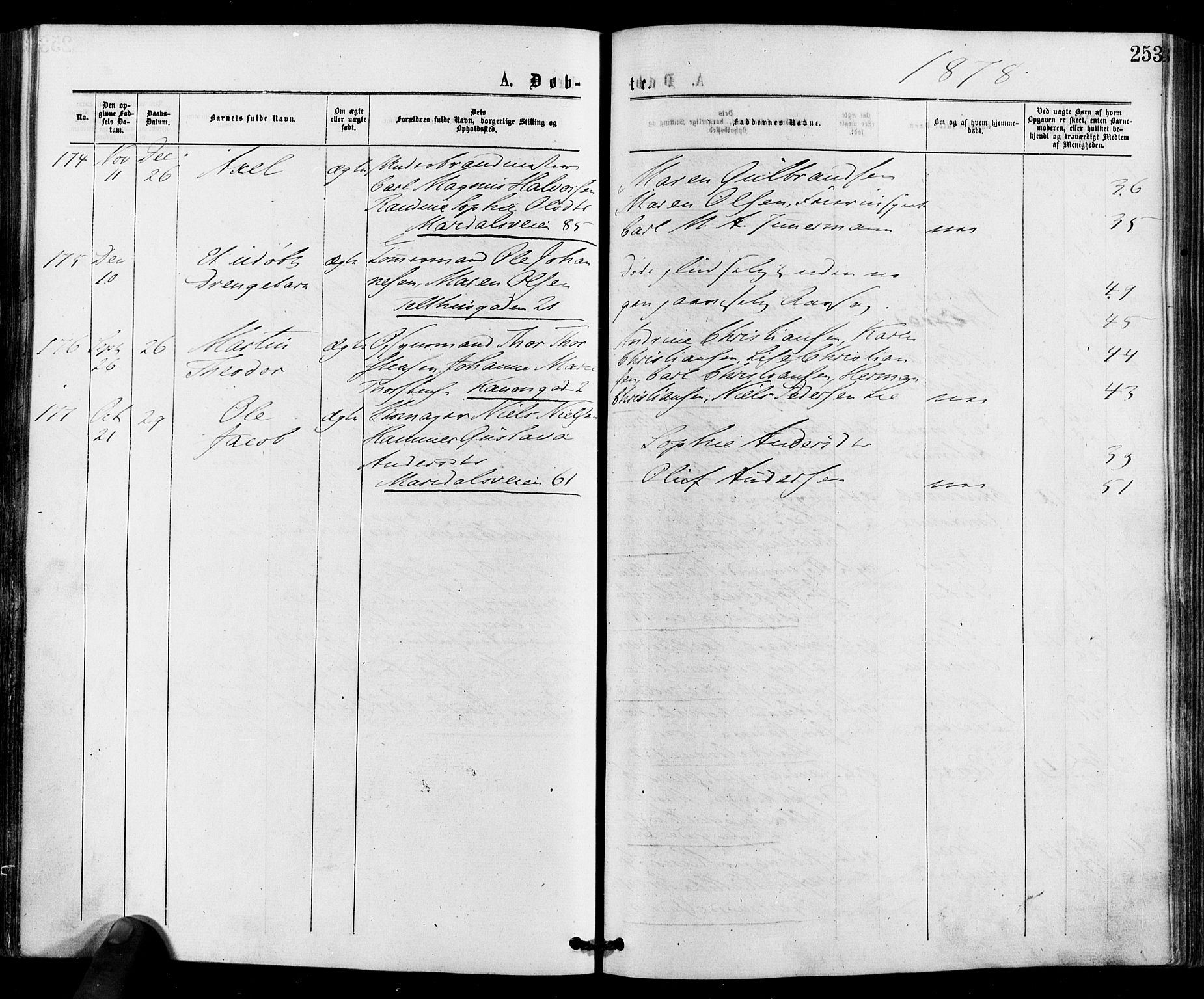 Gamle Aker prestekontor Kirkebøker, AV/SAO-A-10617a/F/L0004: Ministerialbok nr. 4, 1872-1879, s. 253