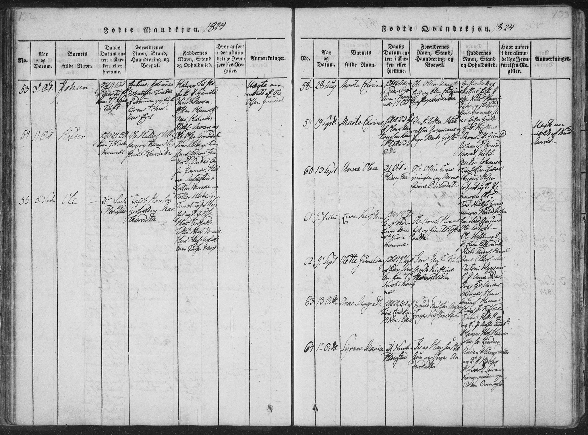 Sandsvær kirkebøker, AV/SAKO-A-244/F/Fa/L0004: Ministerialbok nr. I 4, 1817-1839, s. 132-133