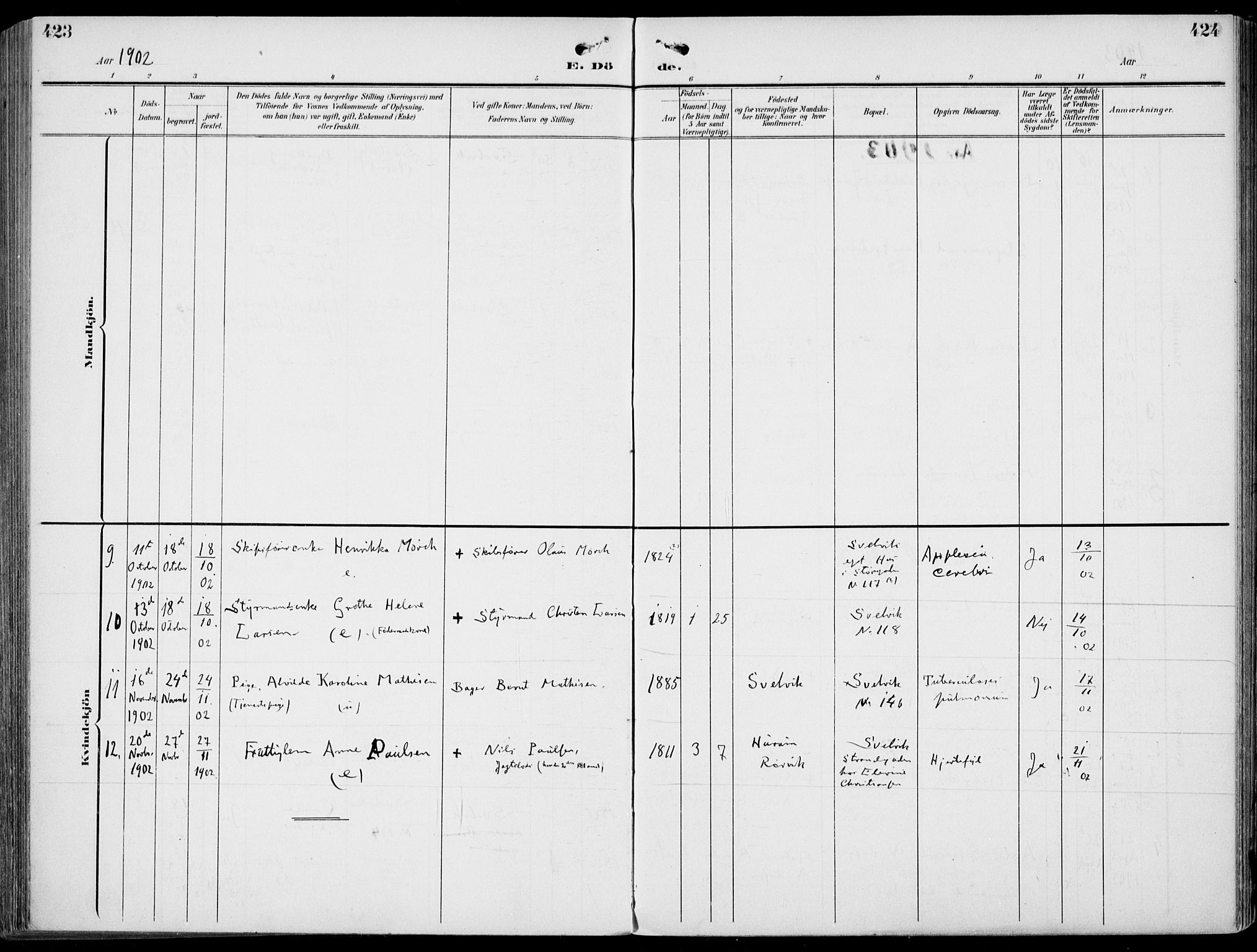 Strømm kirkebøker, AV/SAKO-A-322/F/Fb/L0002: Ministerialbok nr. II 2, 1900-1919, s. 423-424