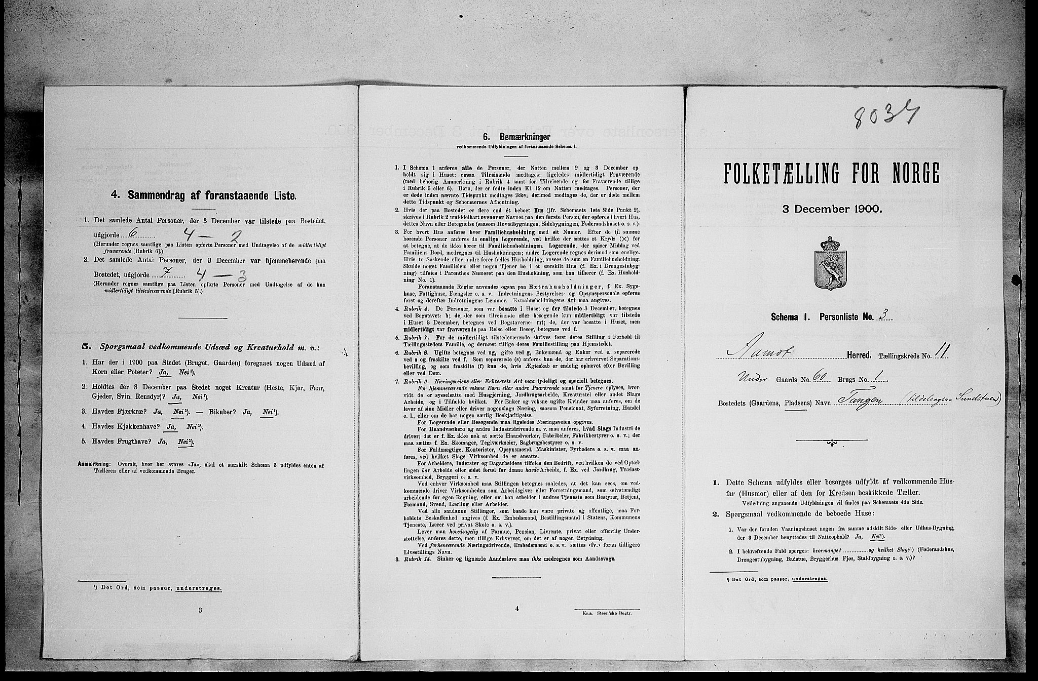 SAH, Folketelling 1900 for 0429 Åmot herred, 1900, s. 1010