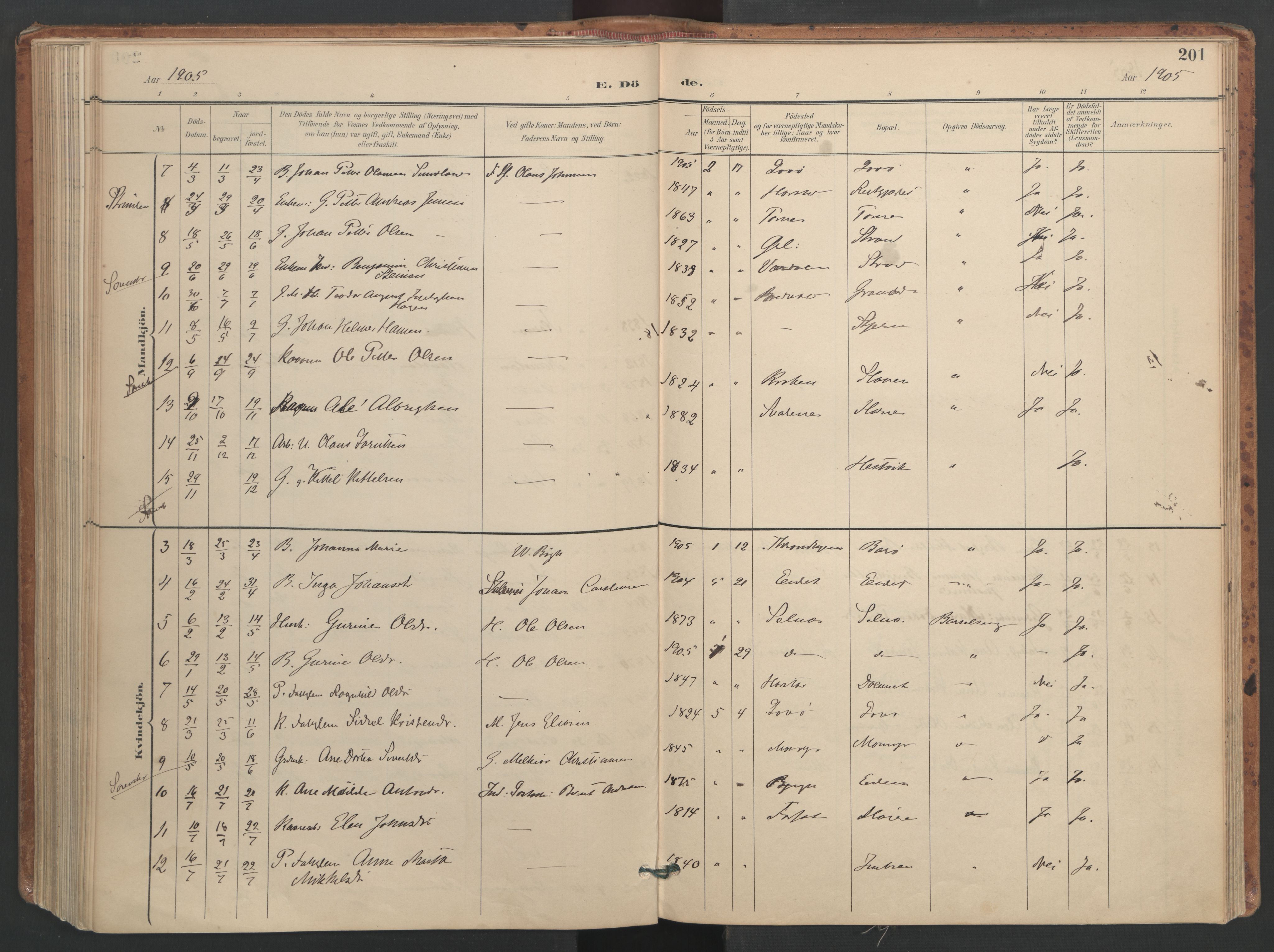Ministerialprotokoller, klokkerbøker og fødselsregistre - Sør-Trøndelag, SAT/A-1456/655/L0681: Ministerialbok nr. 655A10, 1895-1907, s. 201