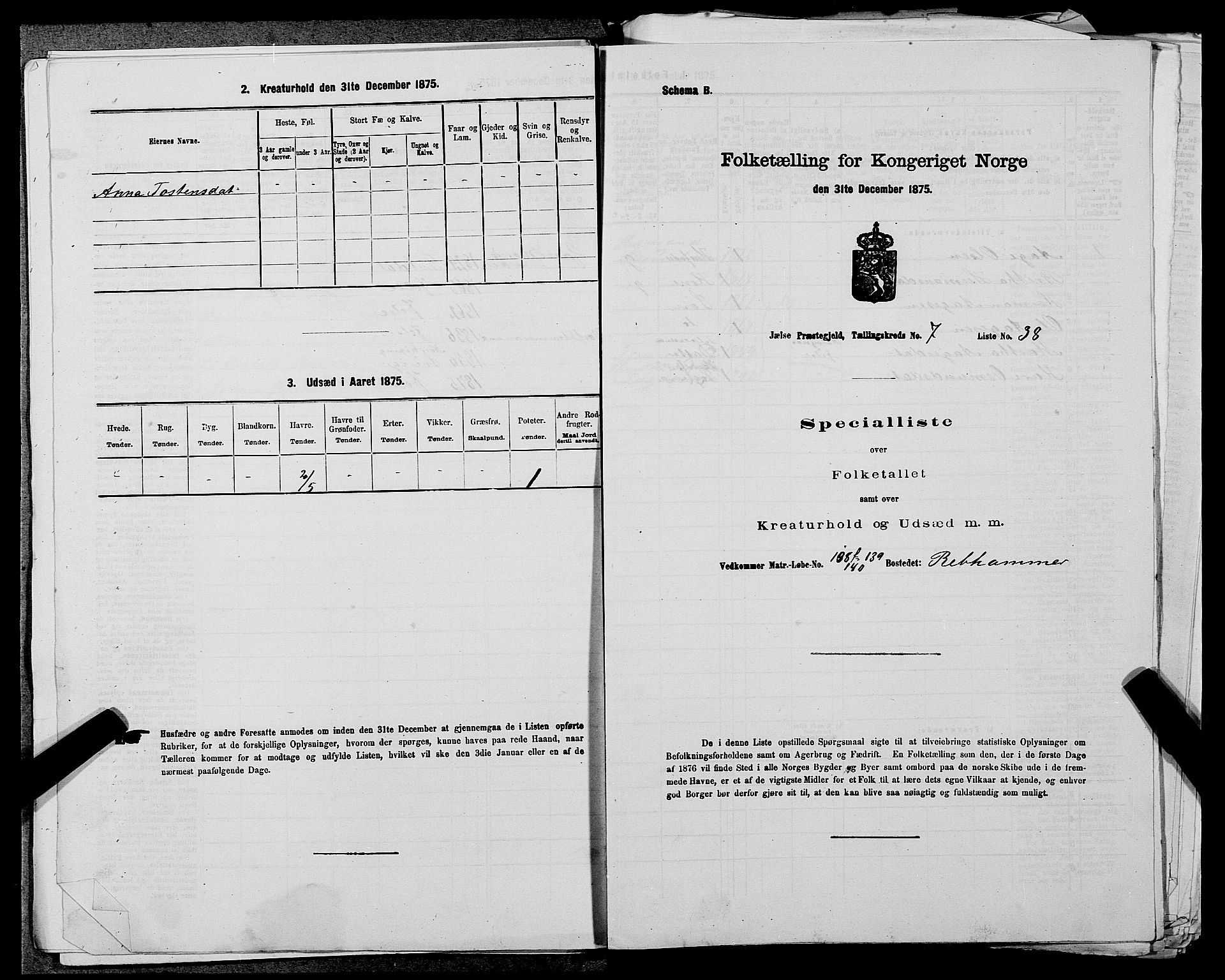 SAST, Folketelling 1875 for 1138P Jelsa prestegjeld, 1875, s. 663