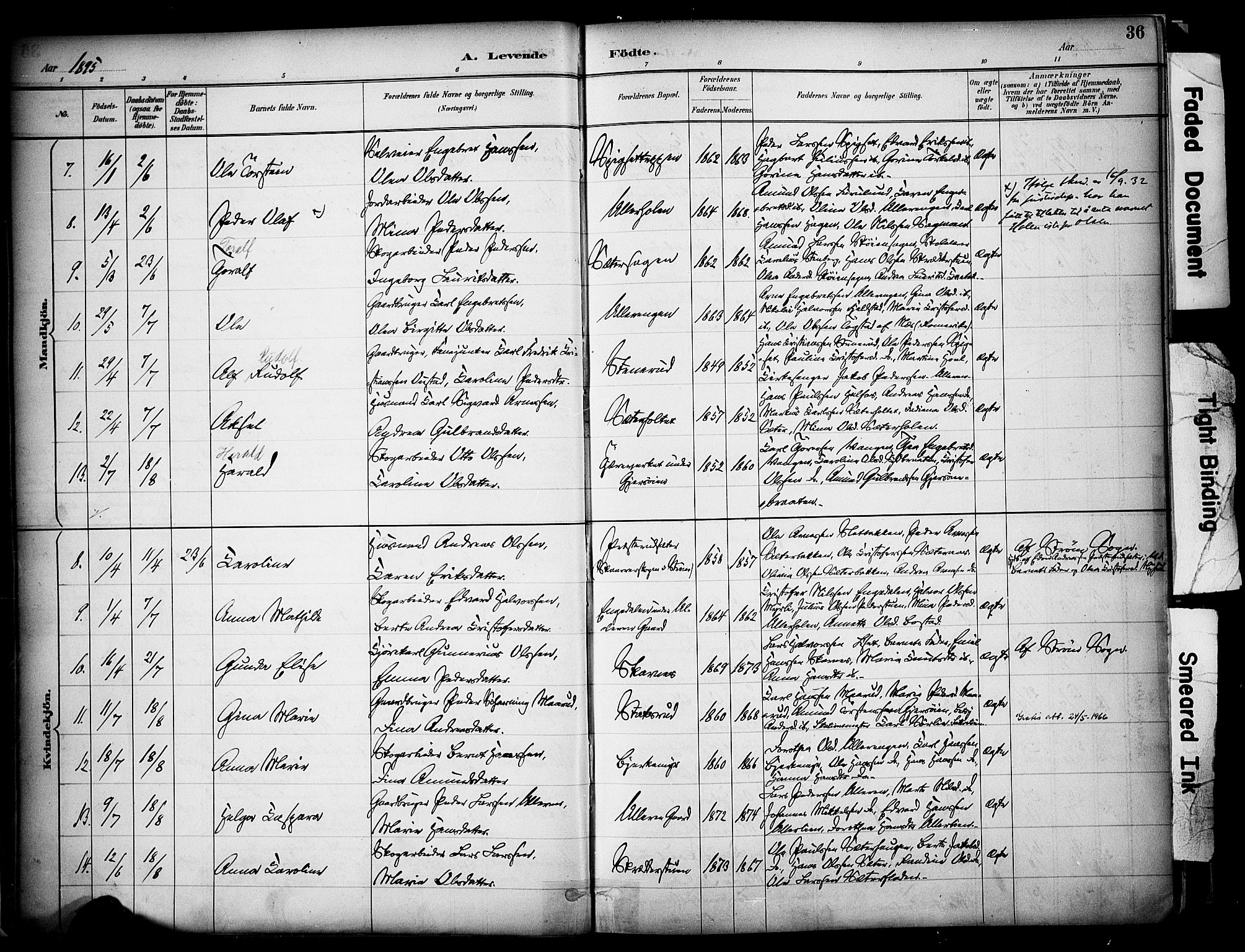 Sør-Odal prestekontor, AV/SAH-PREST-030/H/Ha/Haa/L0008: Ministerialbok nr. 8, 1886-1922, s. 36