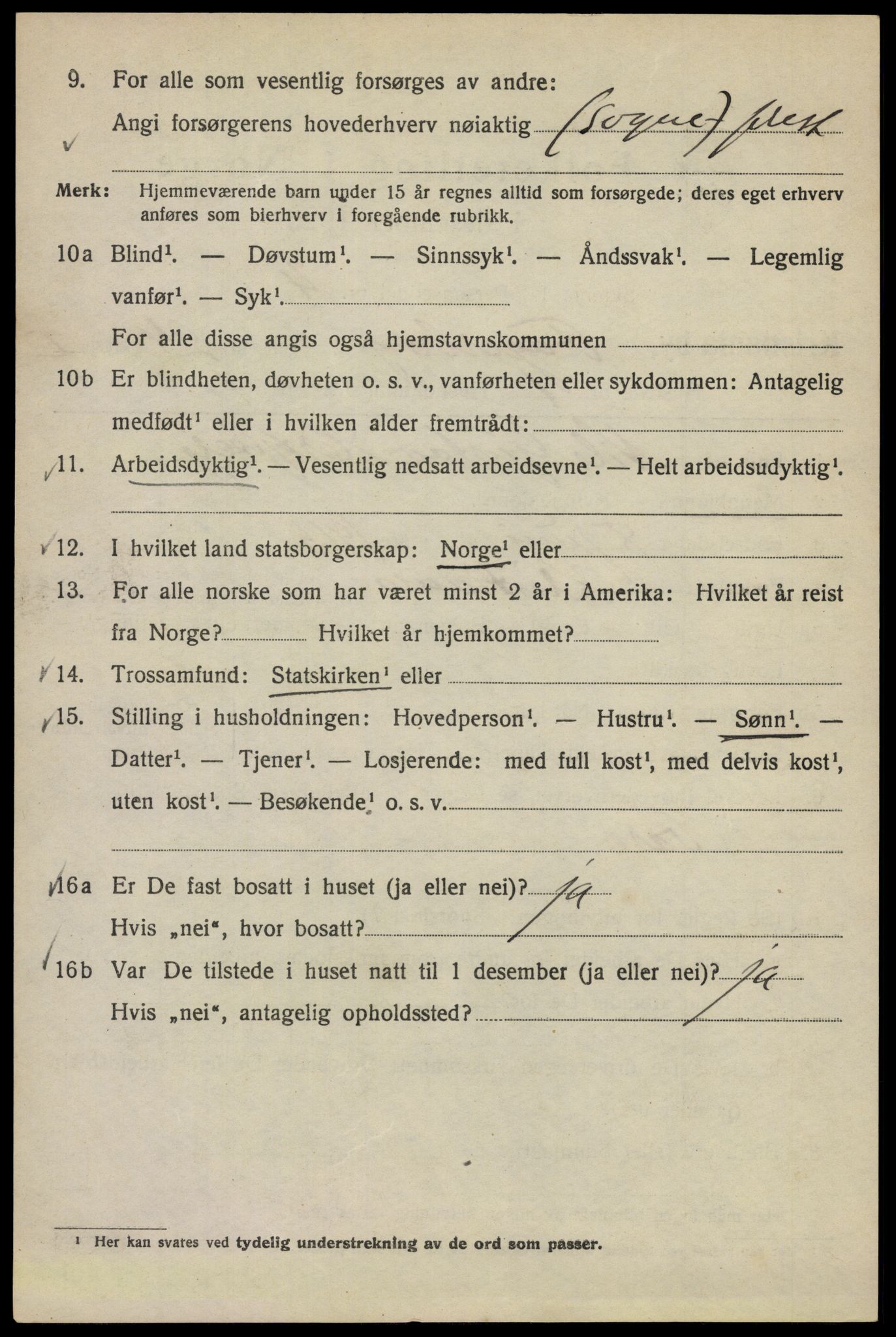 SAO, Folketelling 1920 for 0301 Kristiania kjøpstad, 1920, s. 225096