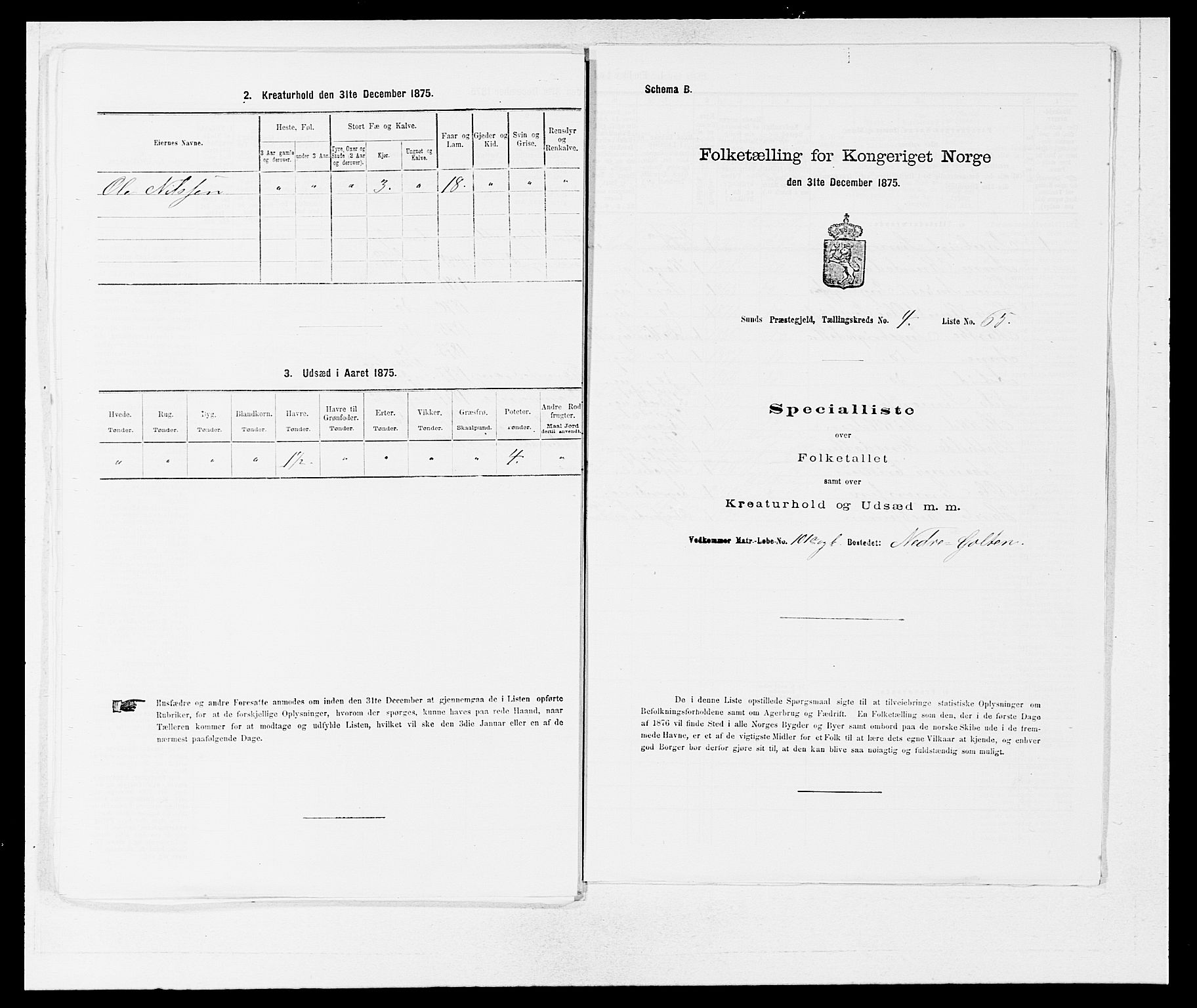 SAB, Folketelling 1875 for 1245P Sund prestegjeld, 1875, s. 462