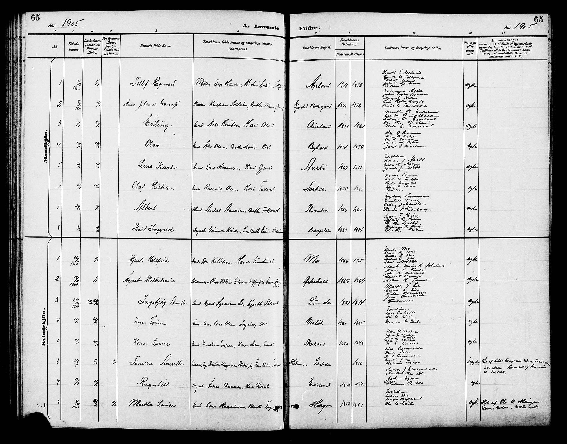 Gjerstad sokneprestkontor, AV/SAK-1111-0014/F/Fb/Fba/L0007: Klokkerbok nr. B 7, 1891-1908, s. 65