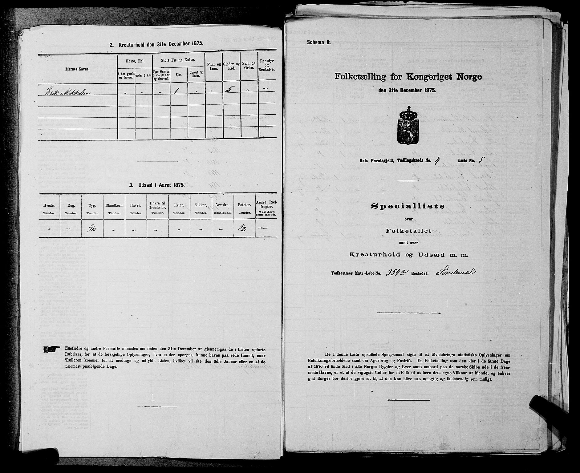 SAKO, Folketelling 1875 for 0620P Hol prestegjeld, 1875, s. 436