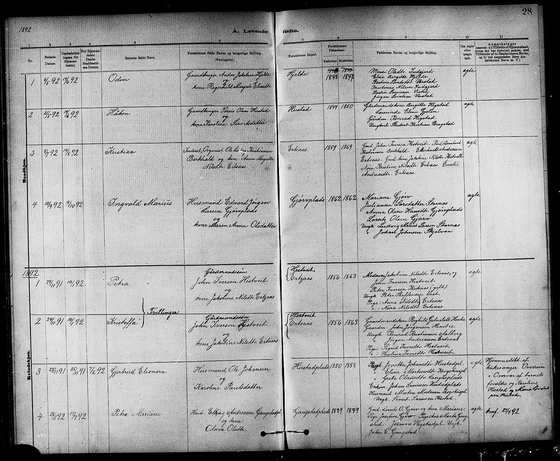 Ministerialprotokoller, klokkerbøker og fødselsregistre - Nord-Trøndelag, AV/SAT-A-1458/732/L0318: Klokkerbok nr. 732C02, 1881-1911, s. 28