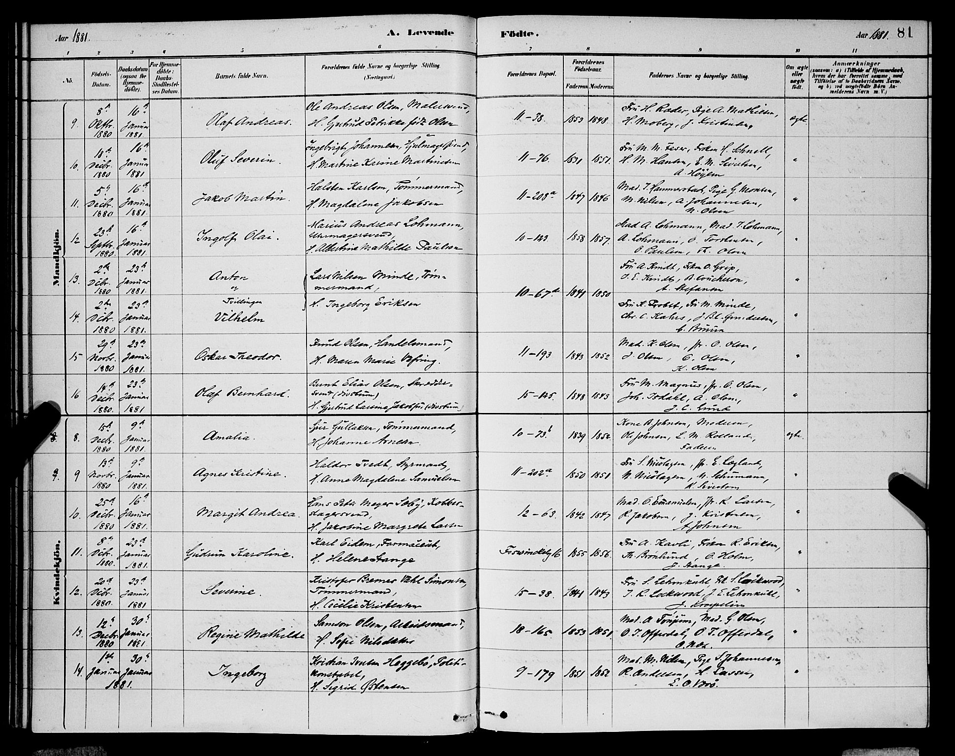Domkirken sokneprestembete, AV/SAB-A-74801/H/Hab/L0015: Klokkerbok nr. B 8, 1879-1887, s. 81