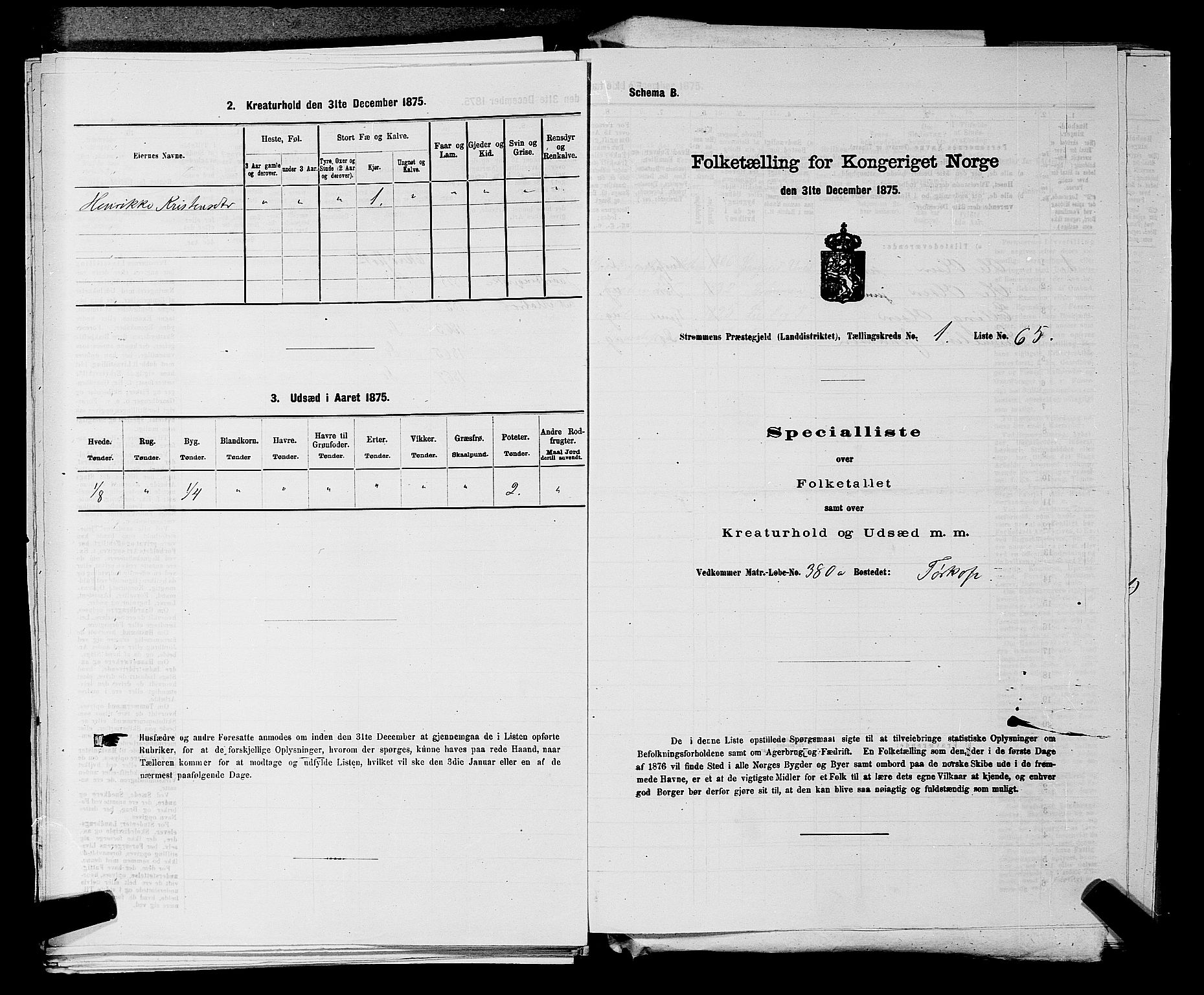 SAKO, Folketelling 1875 for 0711L Strømm prestegjeld, Strømm sokn, 1875, s. 166