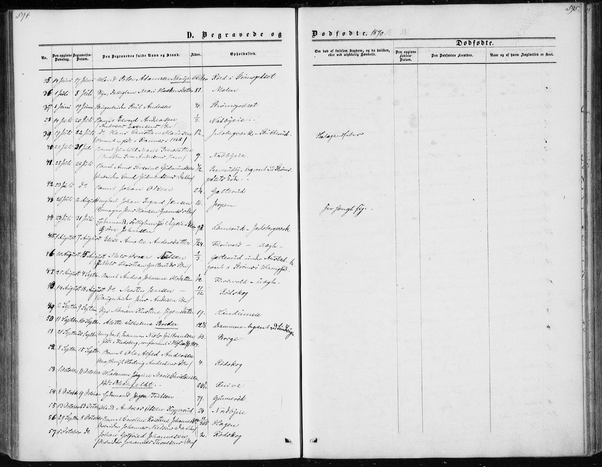 Skoger kirkebøker, AV/SAKO-A-59/F/Fa/L0004: Ministerialbok nr. I 4, 1862-1872, s. 594-595