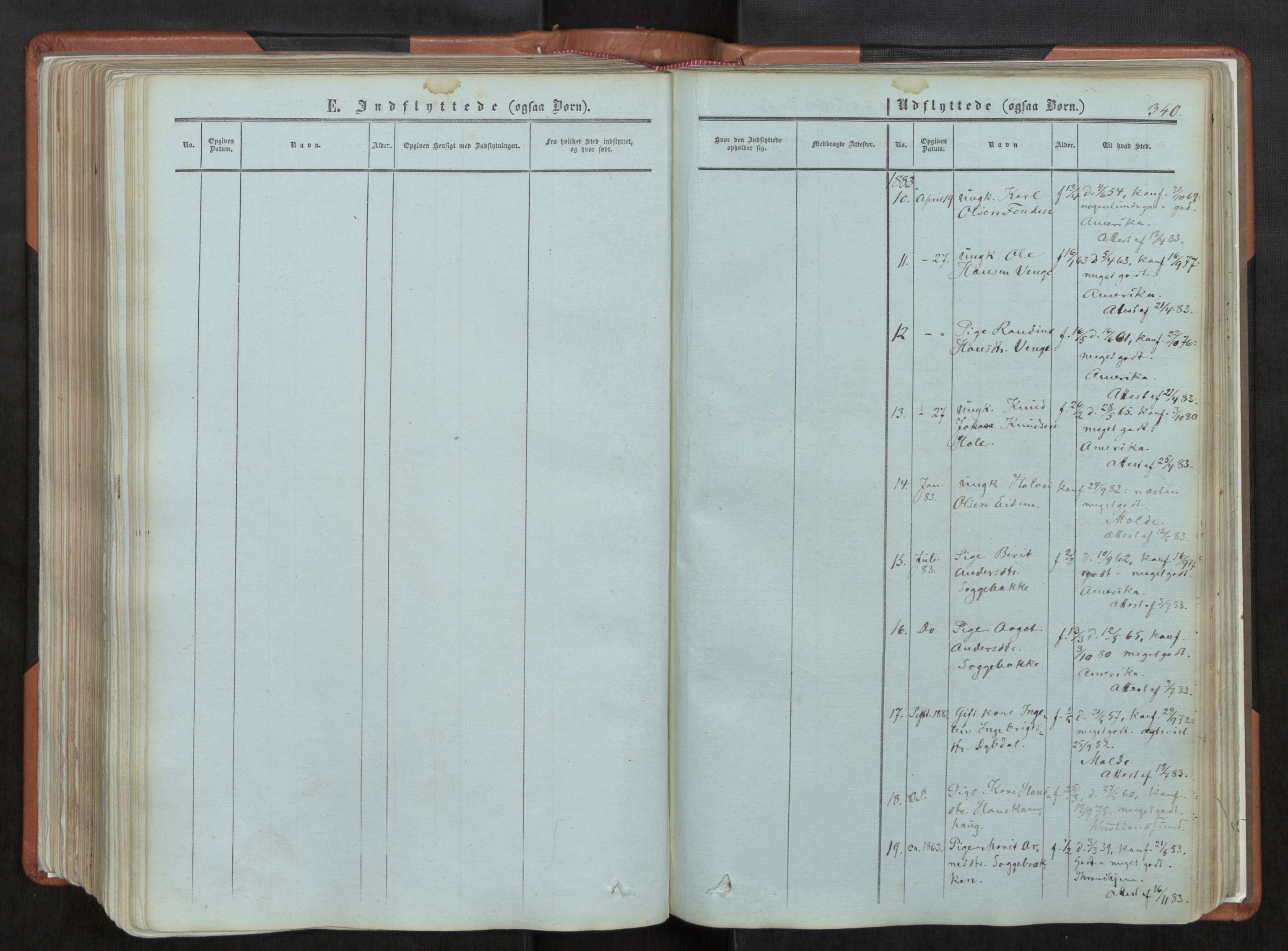 Ministerialprotokoller, klokkerbøker og fødselsregistre - Møre og Romsdal, AV/SAT-A-1454/544/L0572: Ministerialbok nr. 544A05, 1854-1886, s. 340