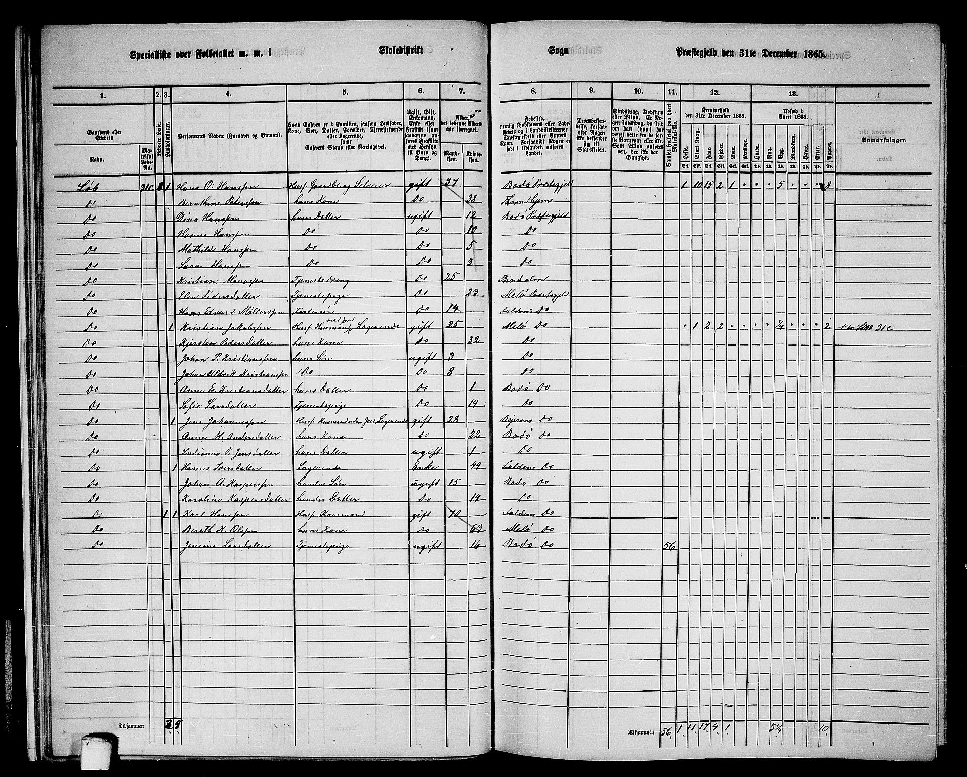 RA, Folketelling 1865 for 1843L Bodø prestegjeld, Bodø landsokn, 1865, s. 21