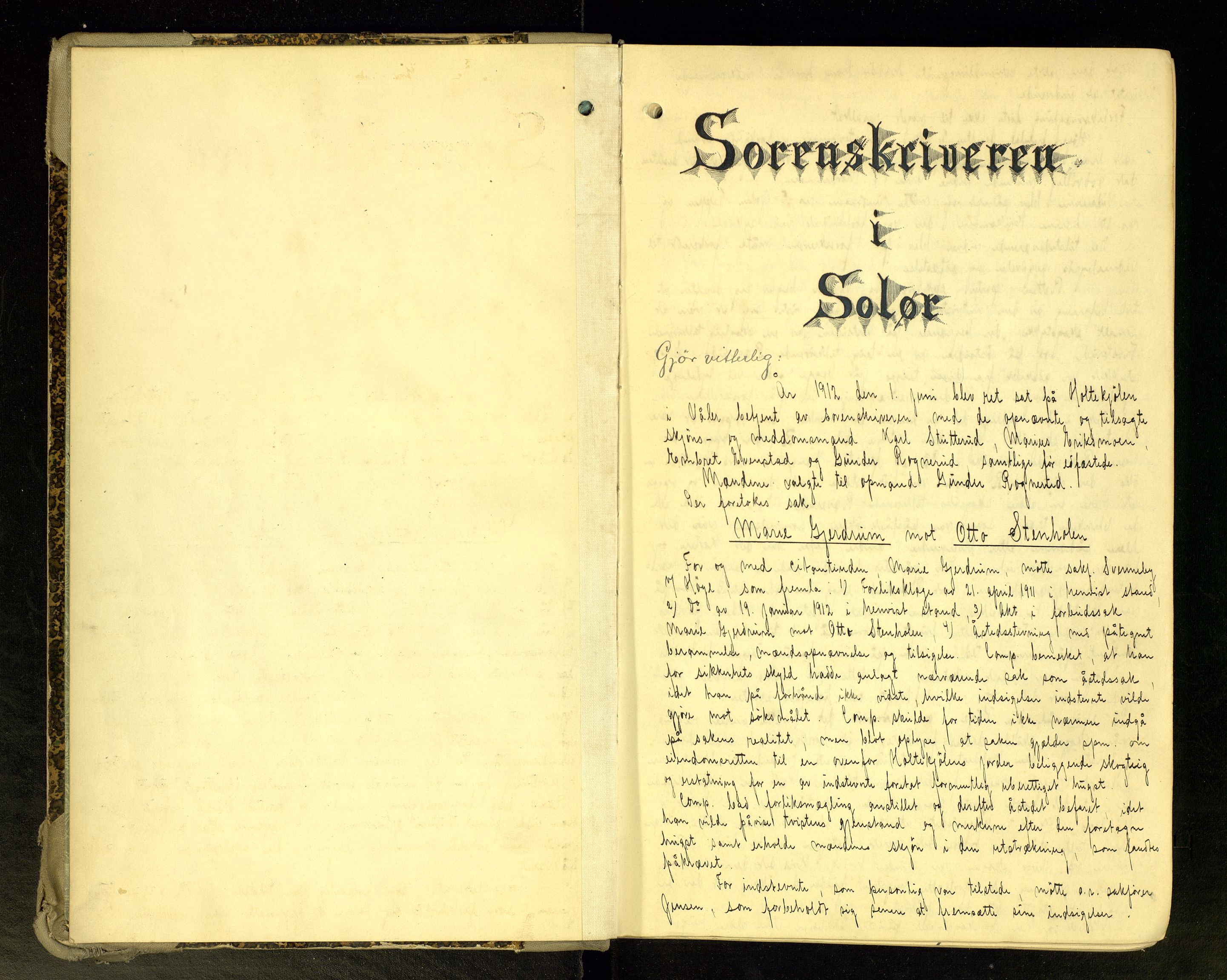 Solør tingrett, SAH/TING-008/G/Gc/Gca/L0036: Ekstrarettsprotokoll, 1912-1916