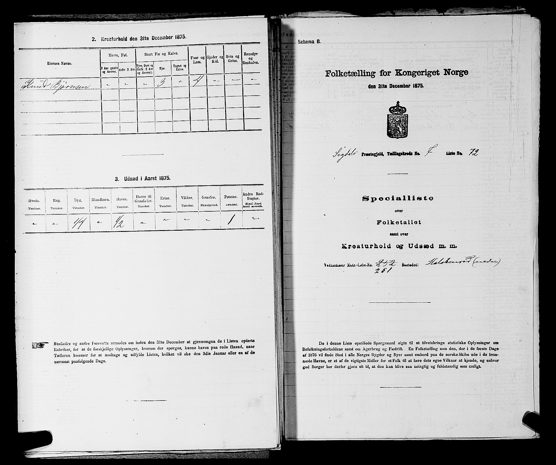 SAKO, Folketelling 1875 for 0621P Sigdal prestegjeld, 1875, s. 1141