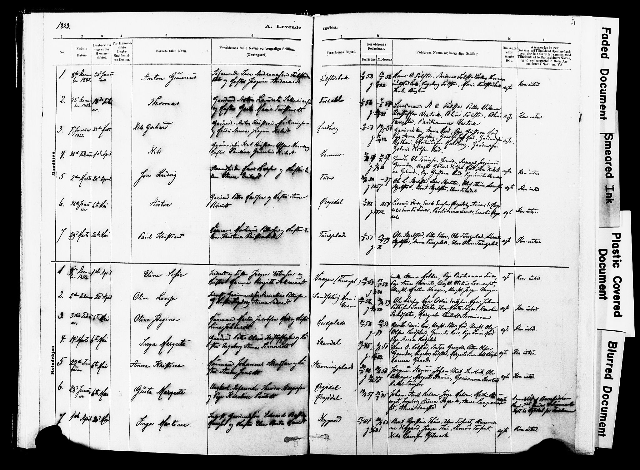Ministerialprotokoller, klokkerbøker og fødselsregistre - Nord-Trøndelag, SAT/A-1458/744/L0420: Ministerialbok nr. 744A04, 1882-1904, s. 5
