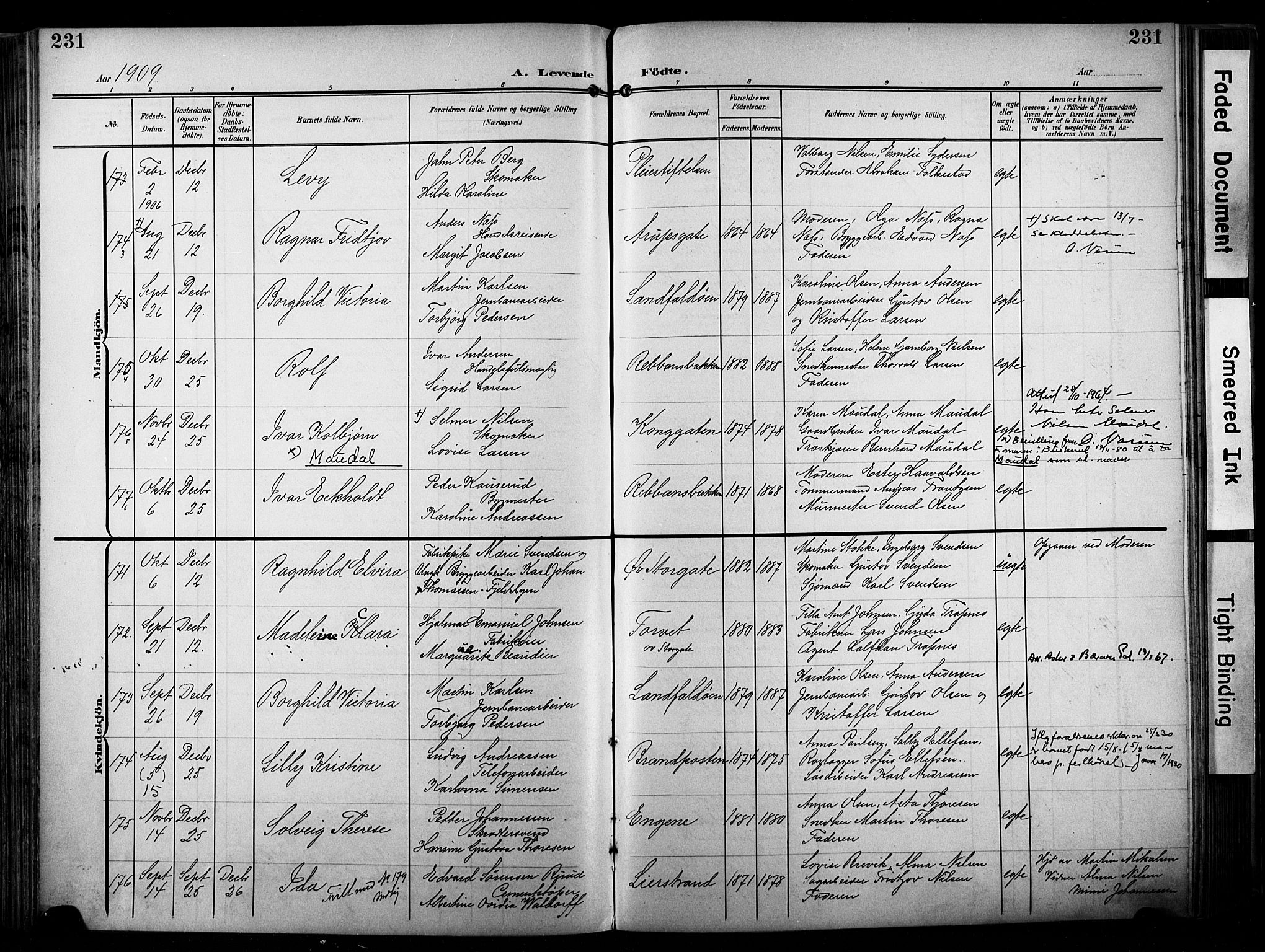 Bragernes kirkebøker, AV/SAKO-A-6/F/Fb/L0009: Ministerialbok nr. II 9, 1902-1911, s. 231