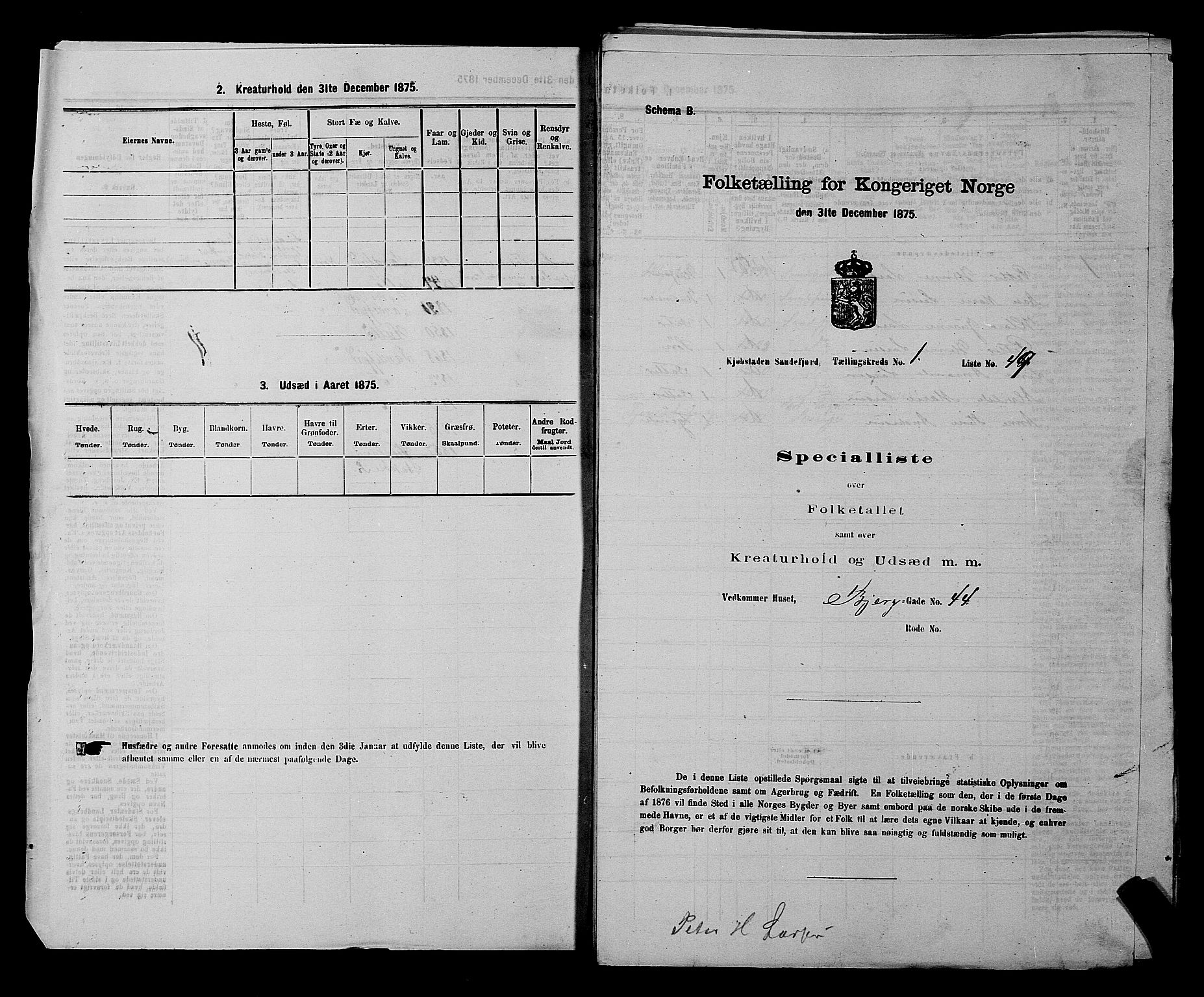 SAKO, Folketelling 1875 for 0706B Sandeherred prestegjeld, Sandefjord kjøpstad, 1875, s. 117