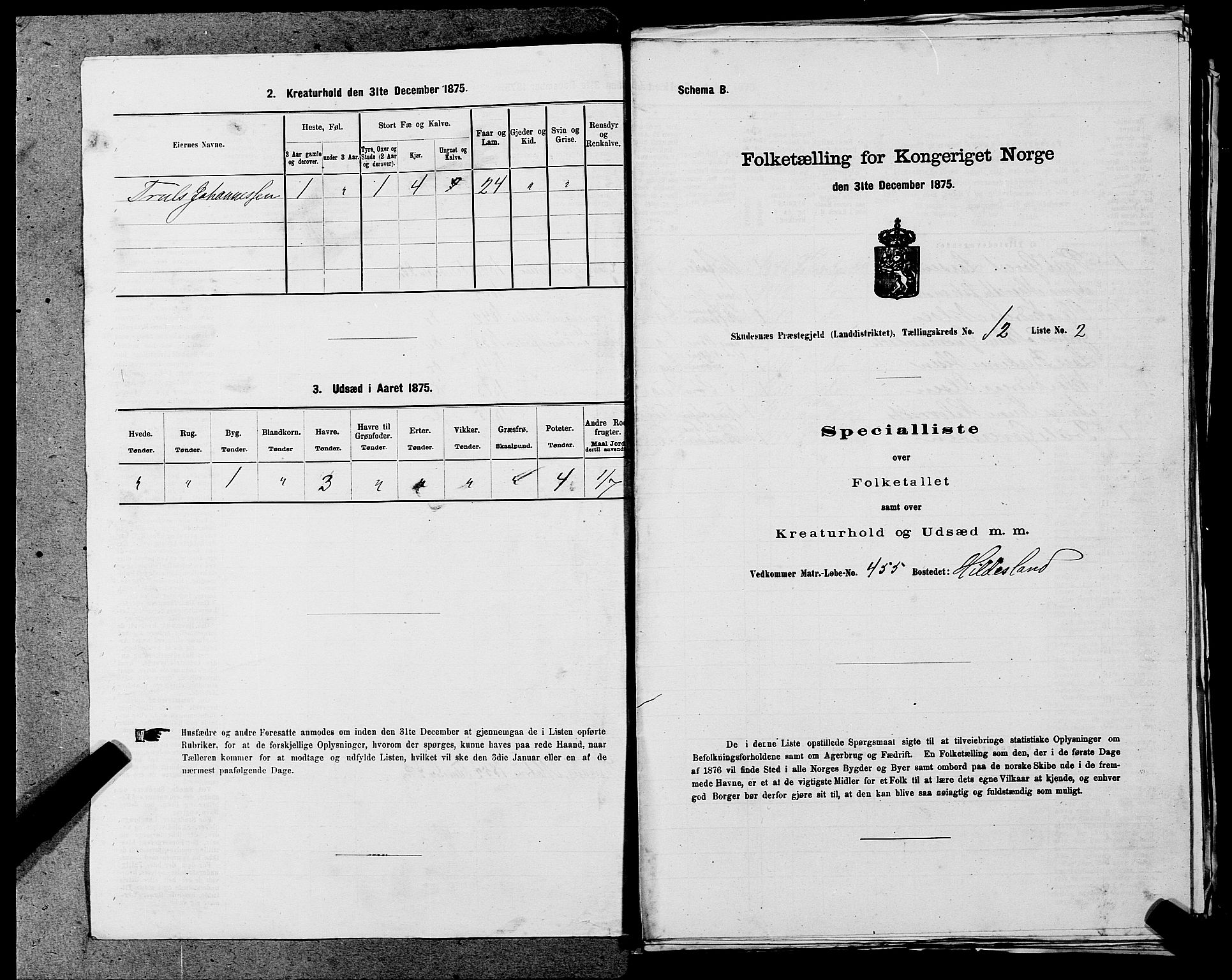 SAST, Folketelling 1875 for 1150L Skudenes prestegjeld, Falnes sokn, Åkra sokn og Ferkingstad sokn, 1875, s. 1641