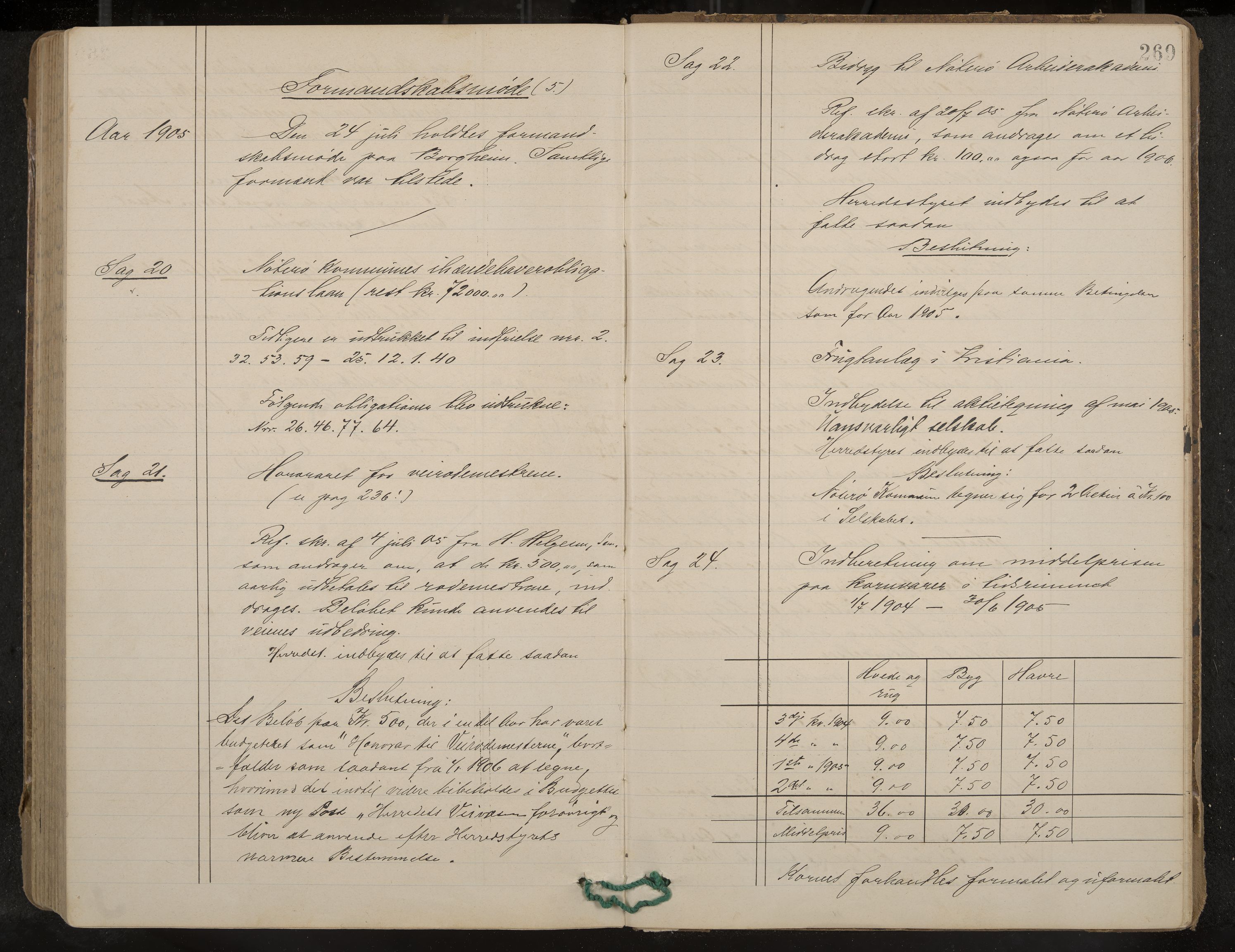 Nøtterøy formannskap og sentraladministrasjon, IKAK/0722021-1/A/Aa/L0005: Møtebok med register, 1896-1905, s. 269