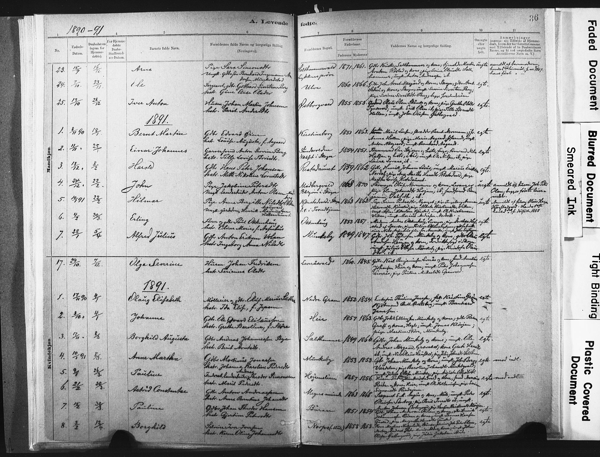 Ministerialprotokoller, klokkerbøker og fødselsregistre - Nord-Trøndelag, SAT/A-1458/721/L0207: Ministerialbok nr. 721A02, 1880-1911, s. 36