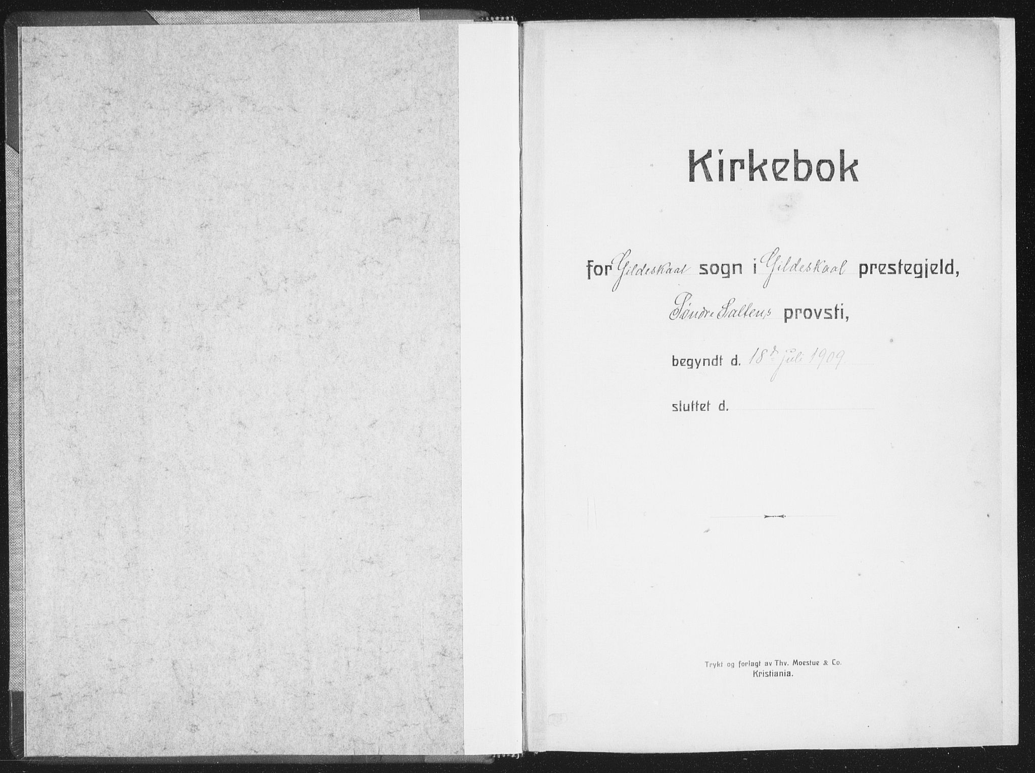 Ministerialprotokoller, klokkerbøker og fødselsregistre - Nordland, AV/SAT-A-1459/805/L0104: Ministerialbok nr. 805A09, 1909-1926